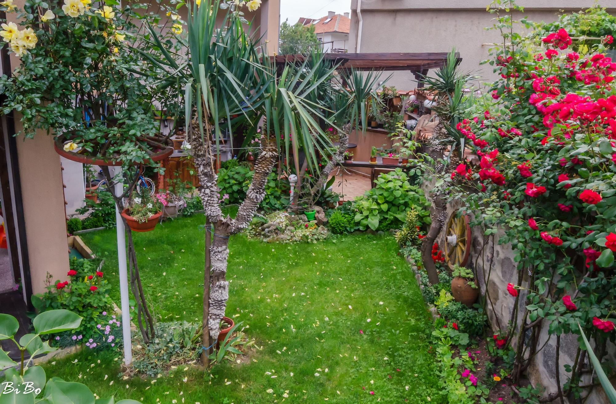 Dom Mladenovi Bed And Breakfast - photo