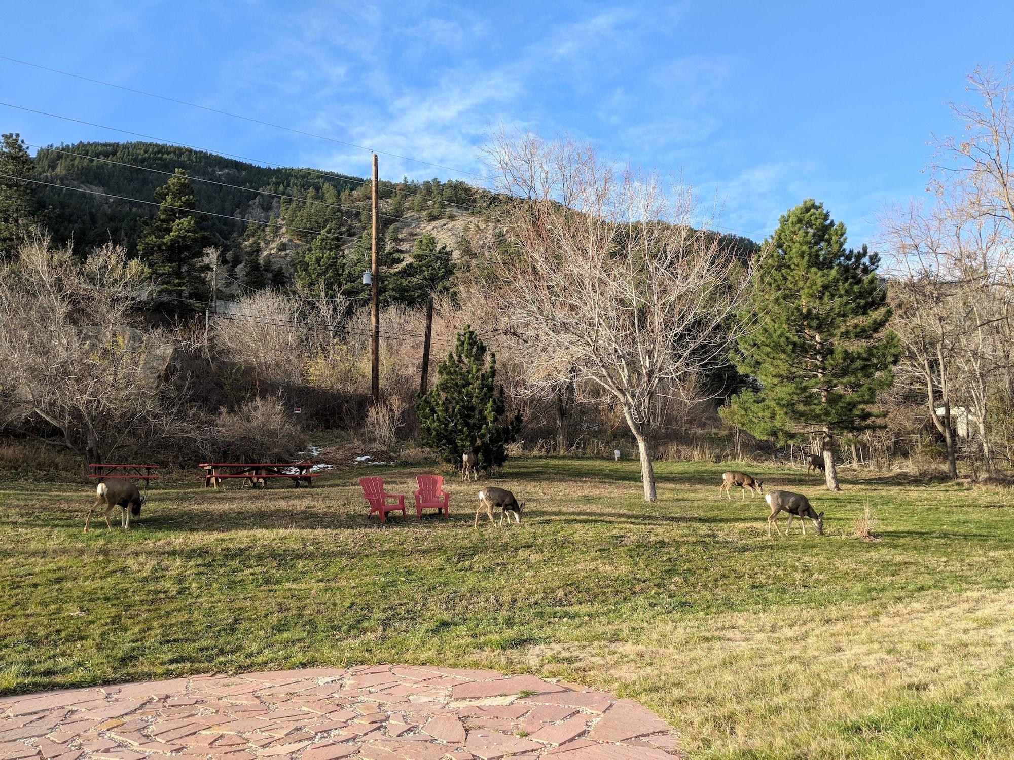 Foot of the Mountain Motel by null