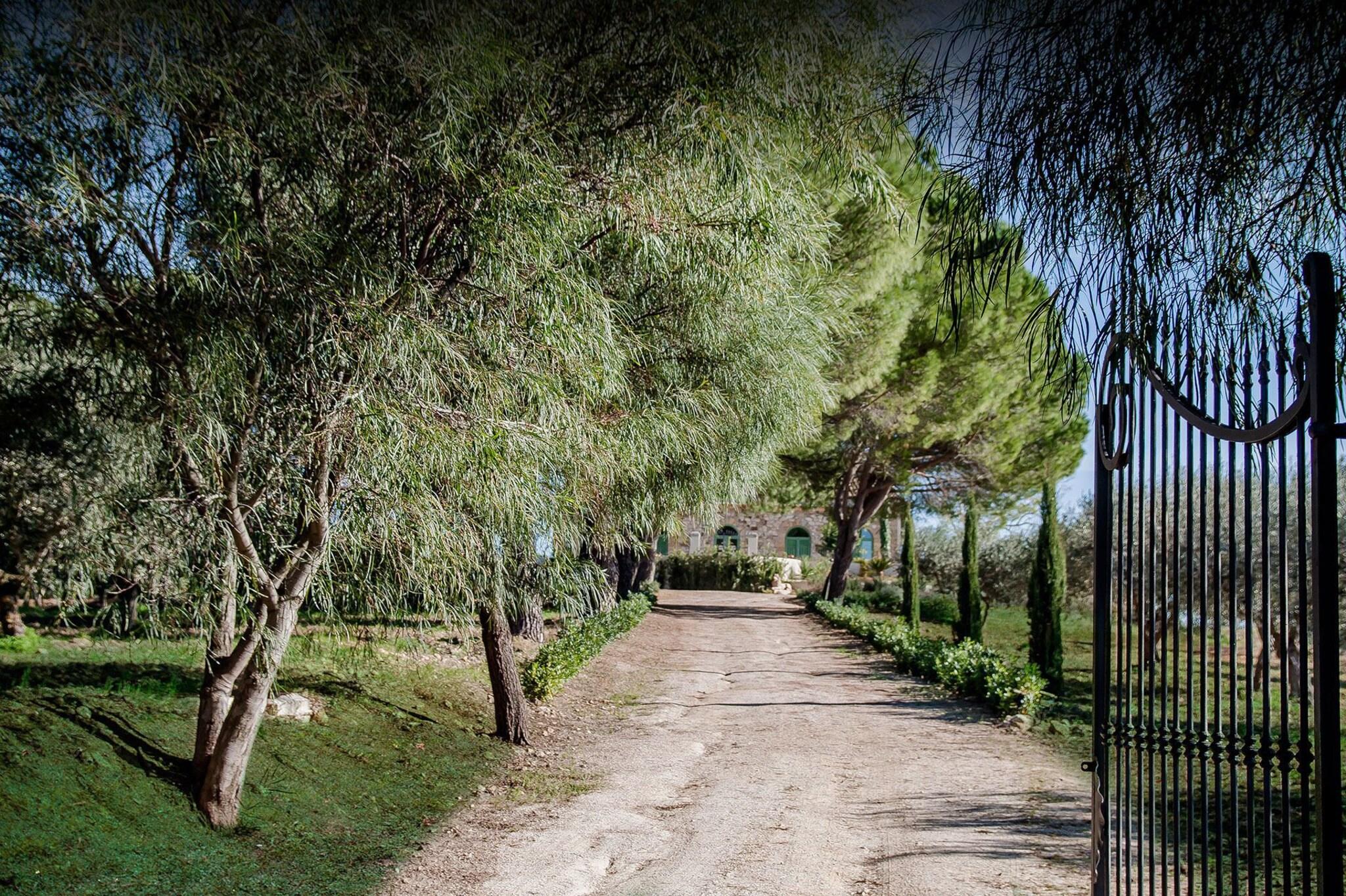 Organic Farm Resort Fontes Episcopi by null