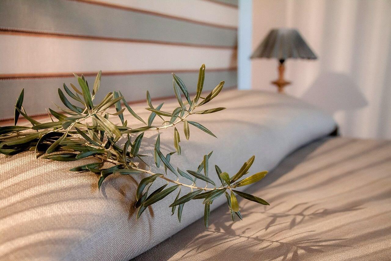 Organic Farm Resort Fontes Episcopi by null