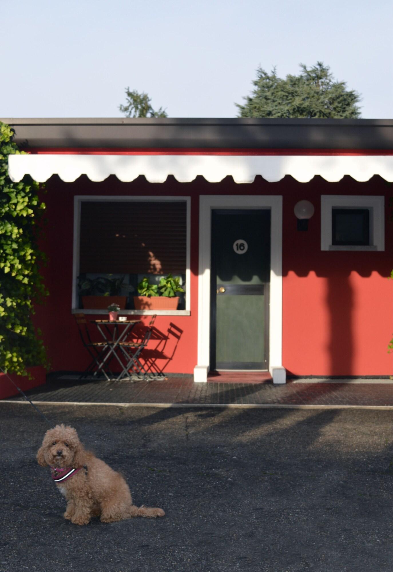 Settimotel - attēls