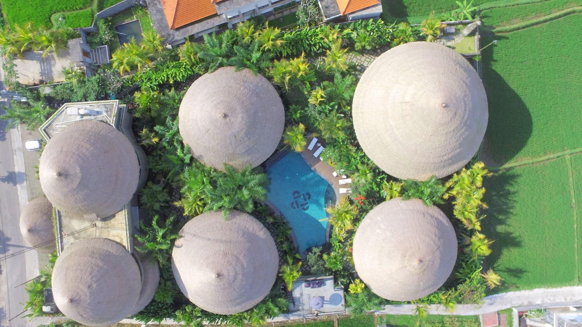 Honai Resort - nuotrauka