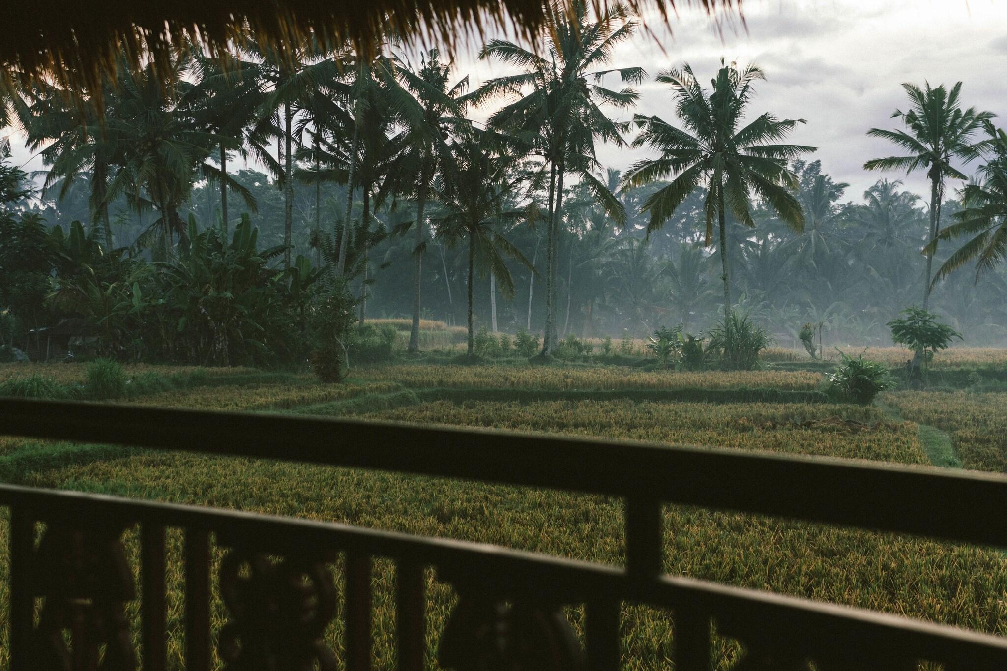 Honai Resort - nuotrauka