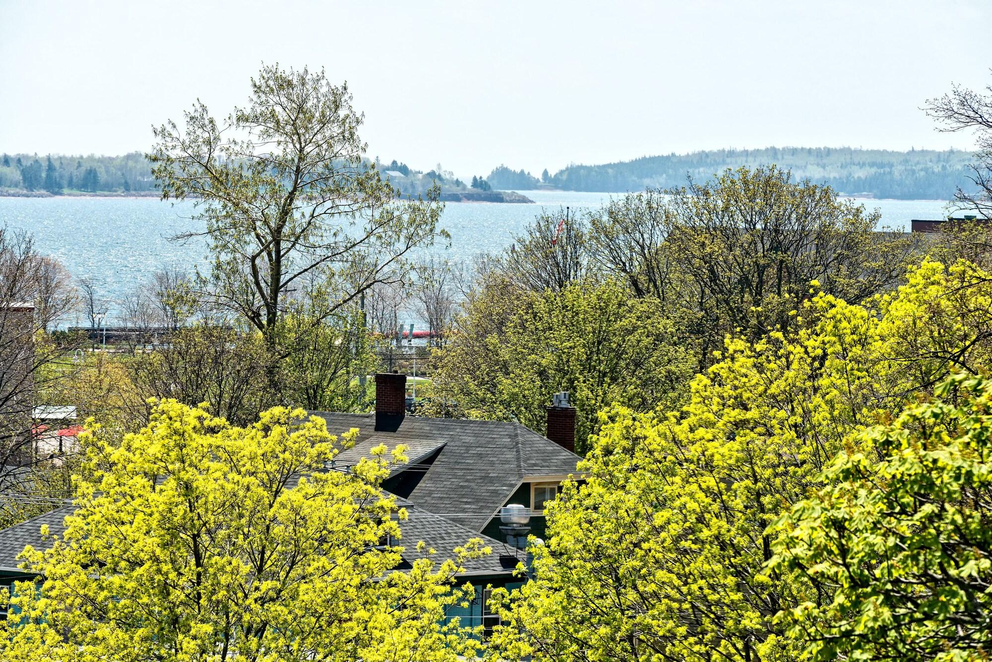 Sydney Boutique Inn & Suites by null