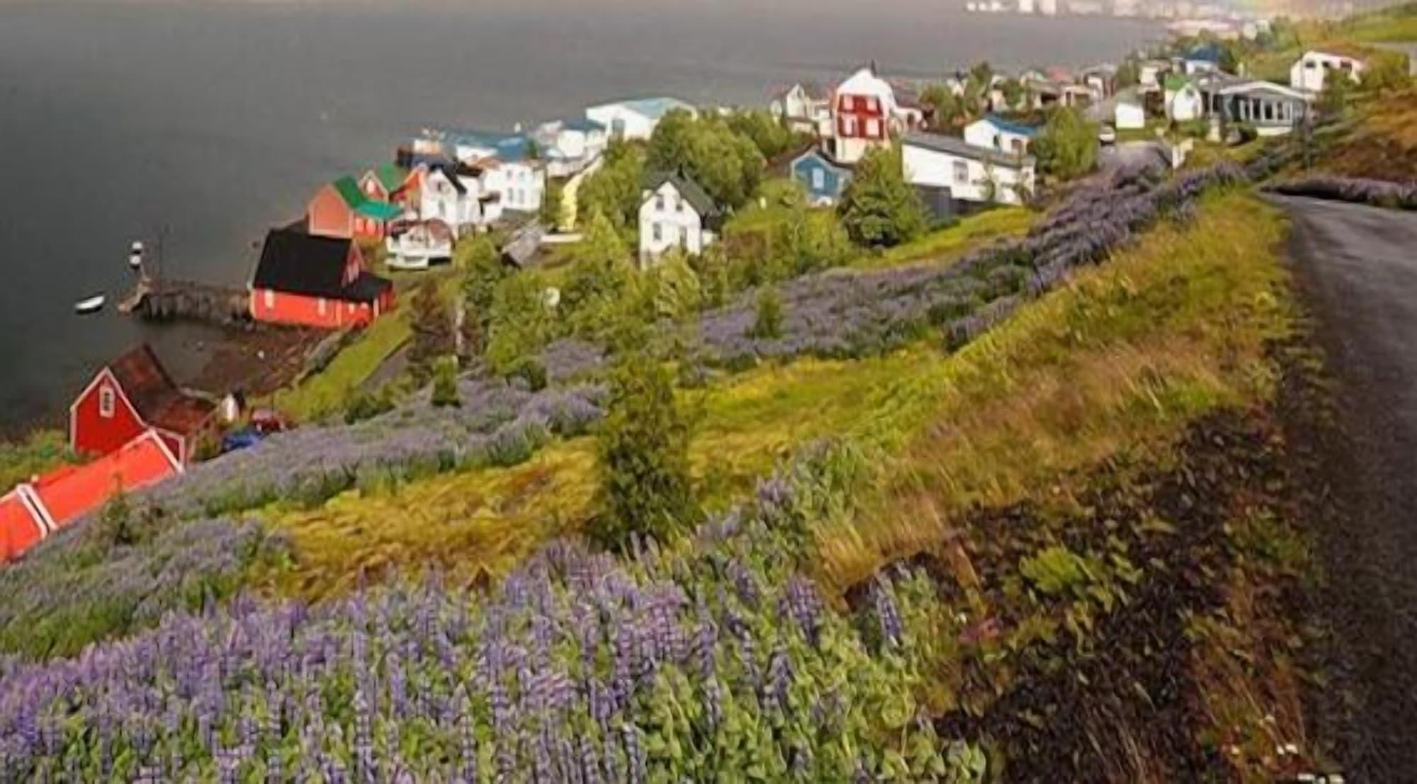 Eskifjörður hótel by null