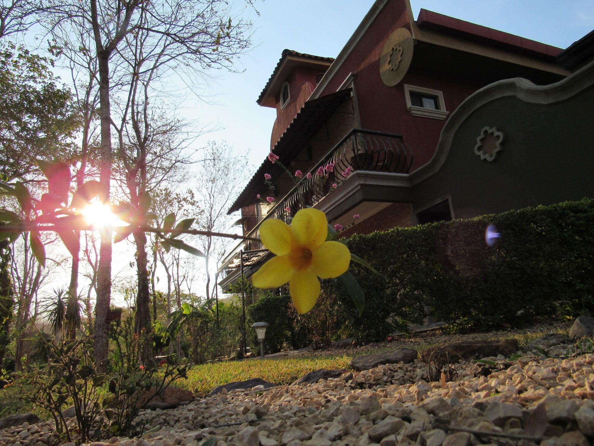 Casas Del Toro Playa Flamingo