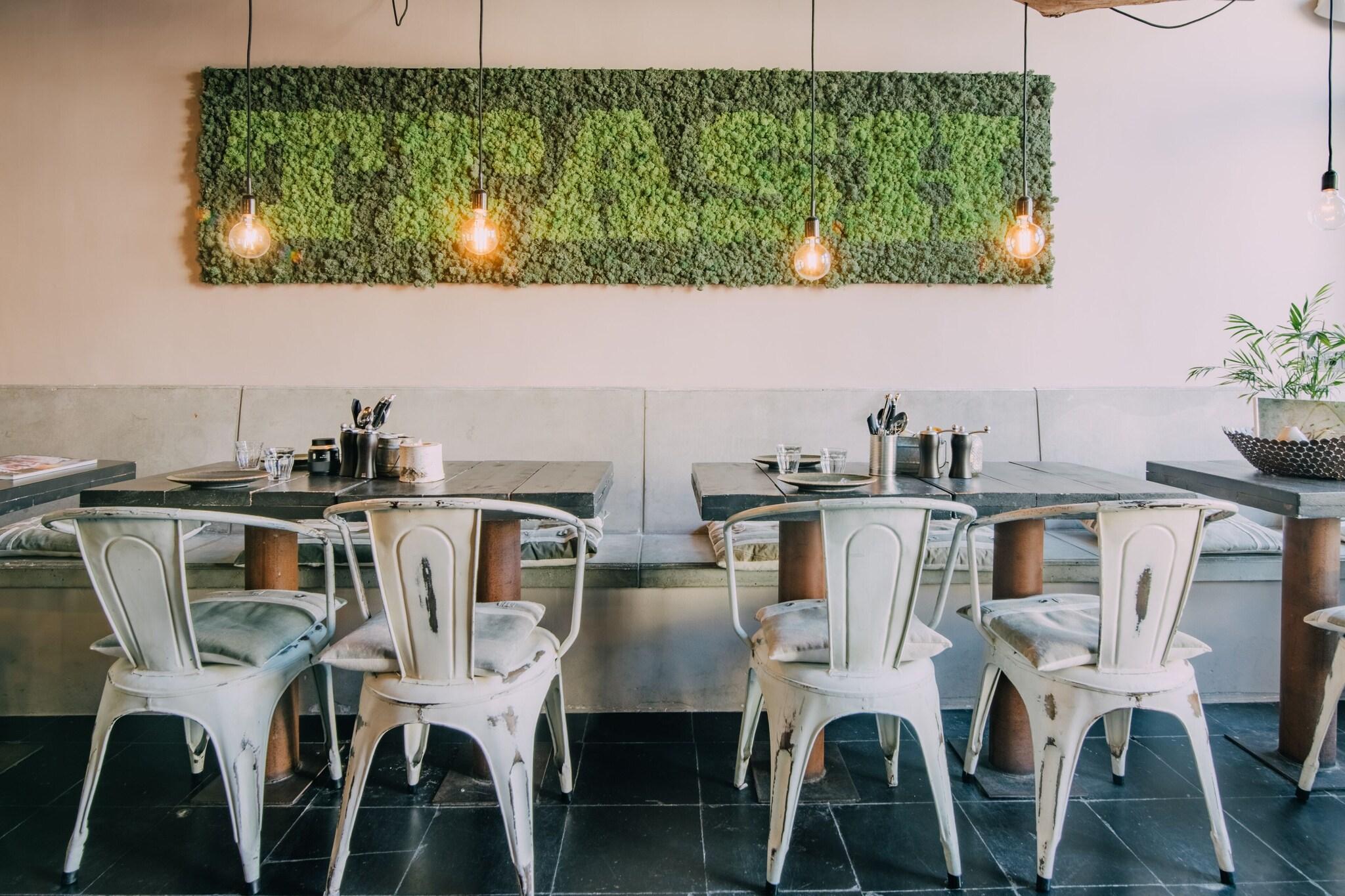 Hotel Trash Deluxe by null