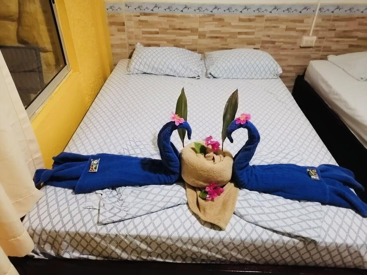 Hotel Aurora by null