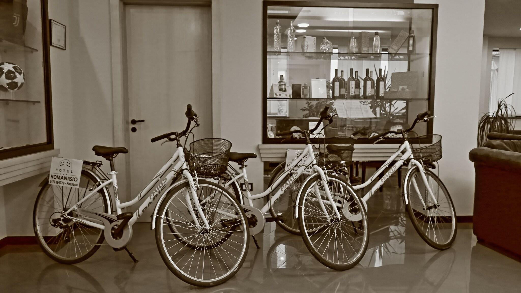 Hotel Romanisio