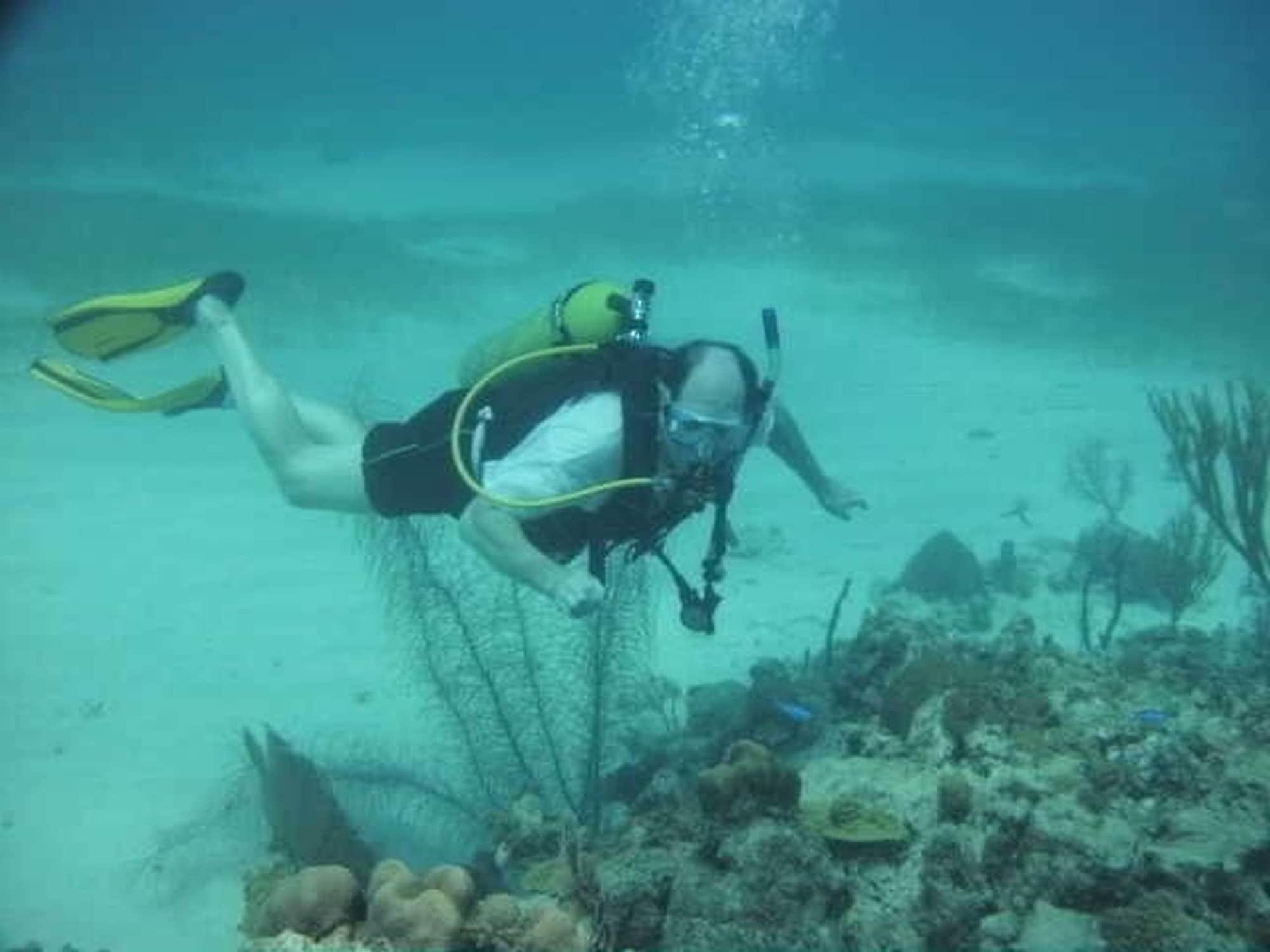 Cariblue Beach Hotel by null