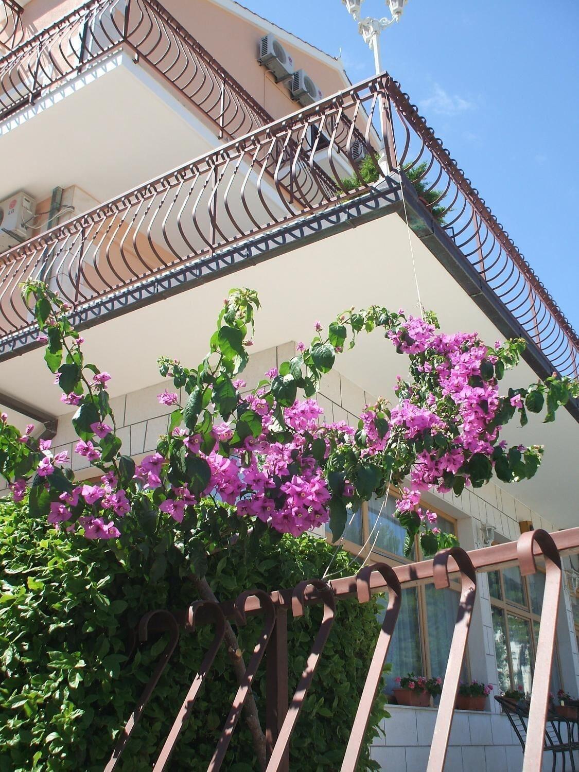 Bed & Breakfast Senator - photo