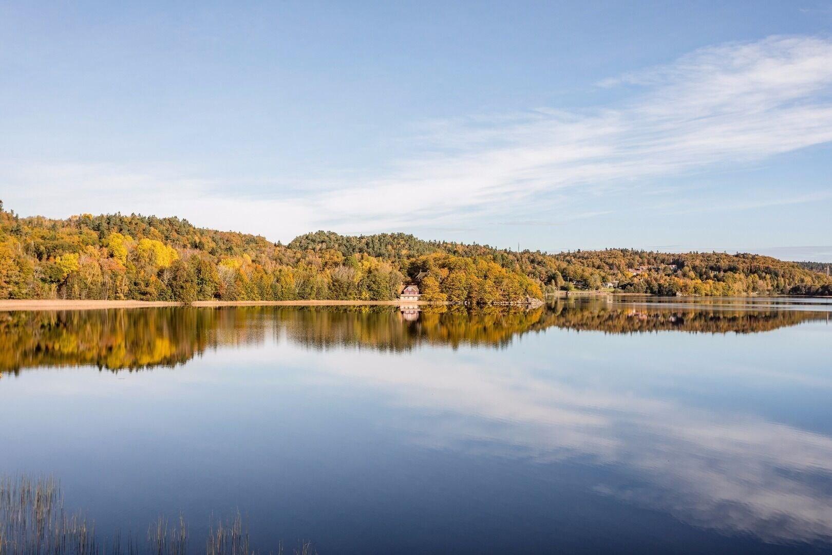 Hällsnäs Hotell & Restaurang by null