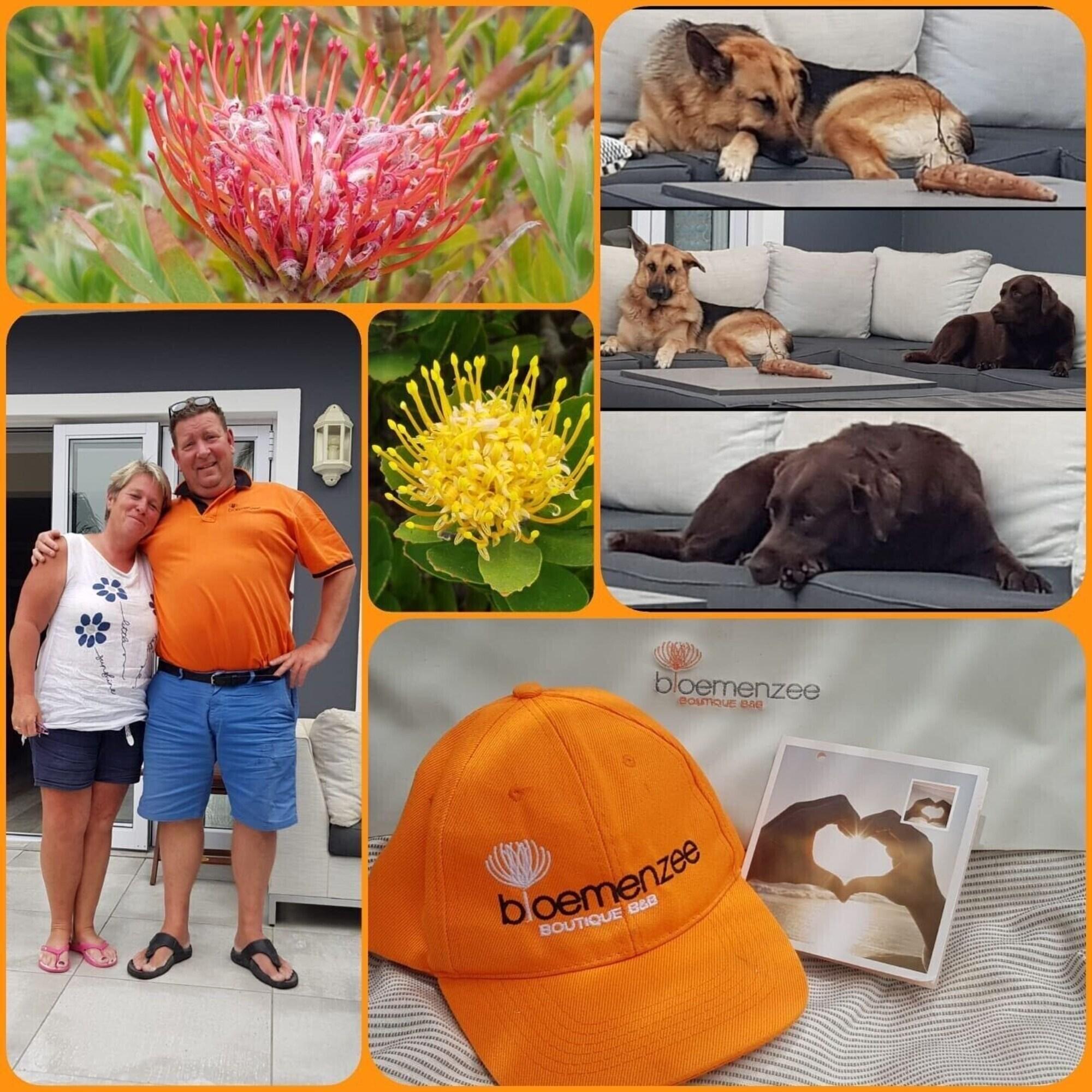 Bloemenzee Boutique B & B