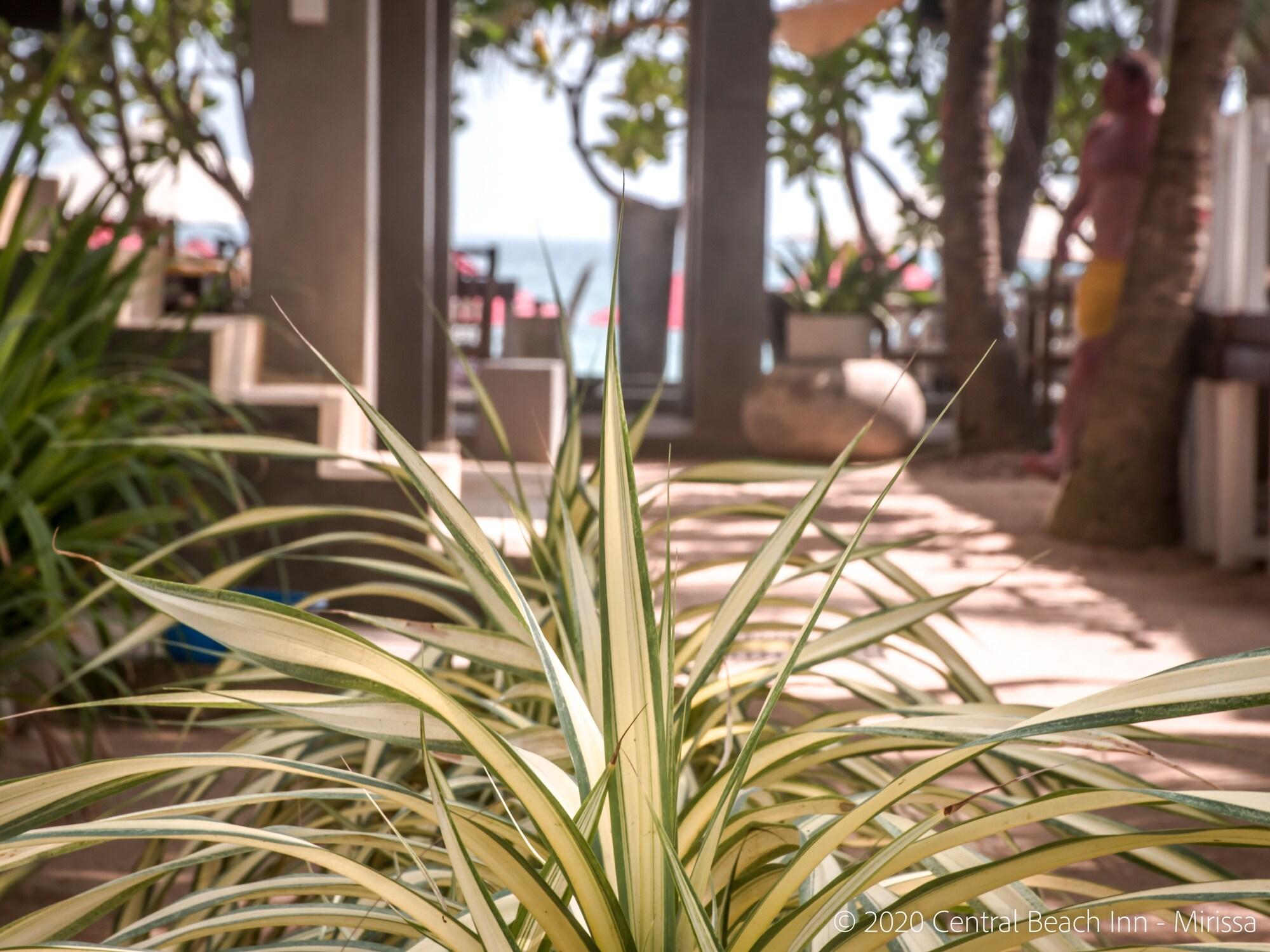 Central Beach Inn - photo