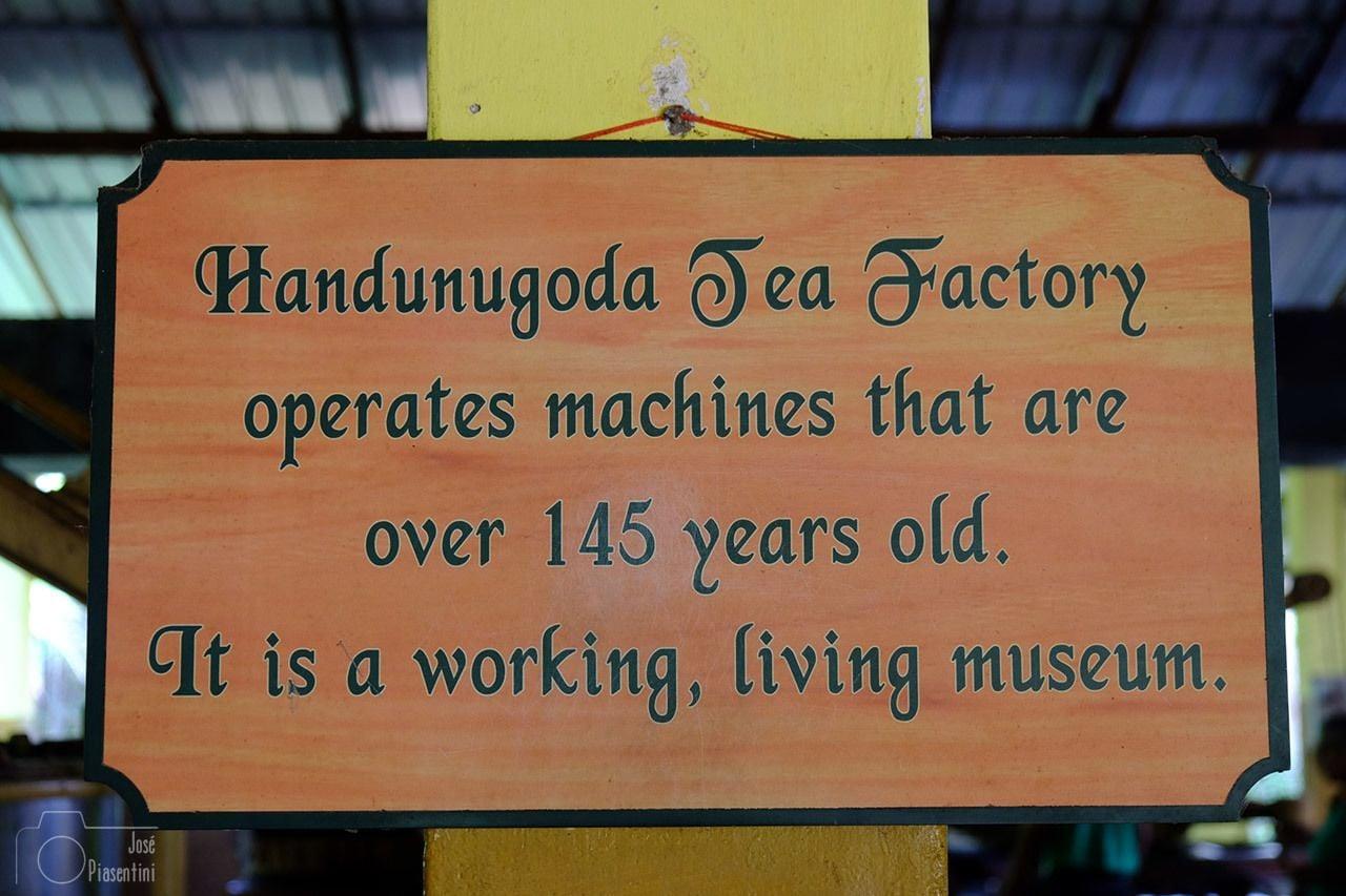 Central Beach Inn - photo