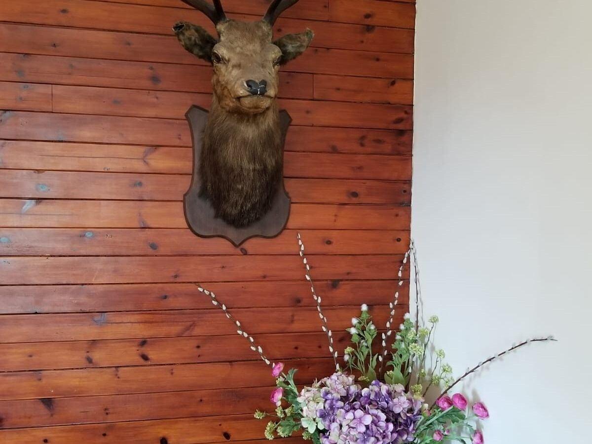 Glenan Lodge