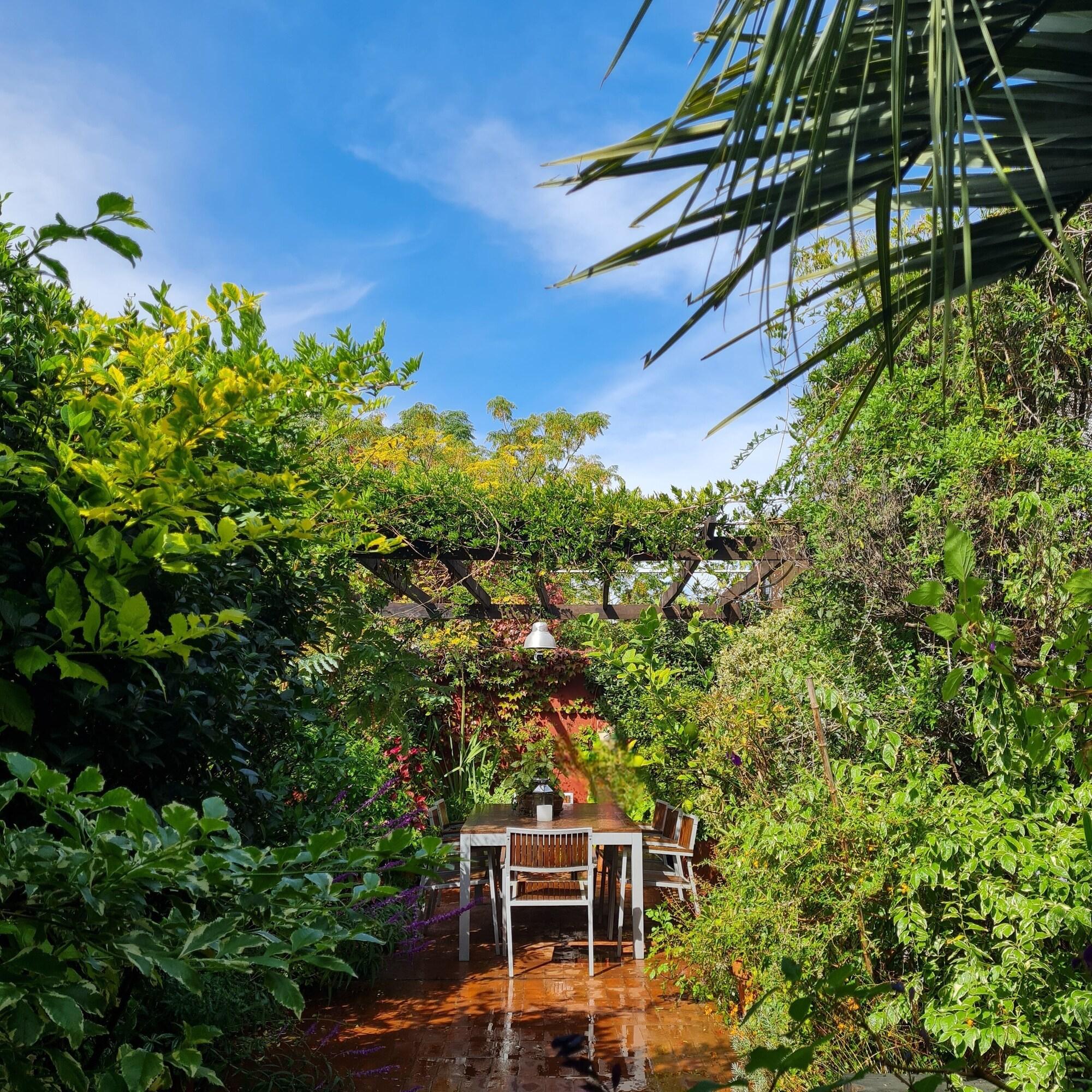 Be Jardín Escondido by Coppola by null