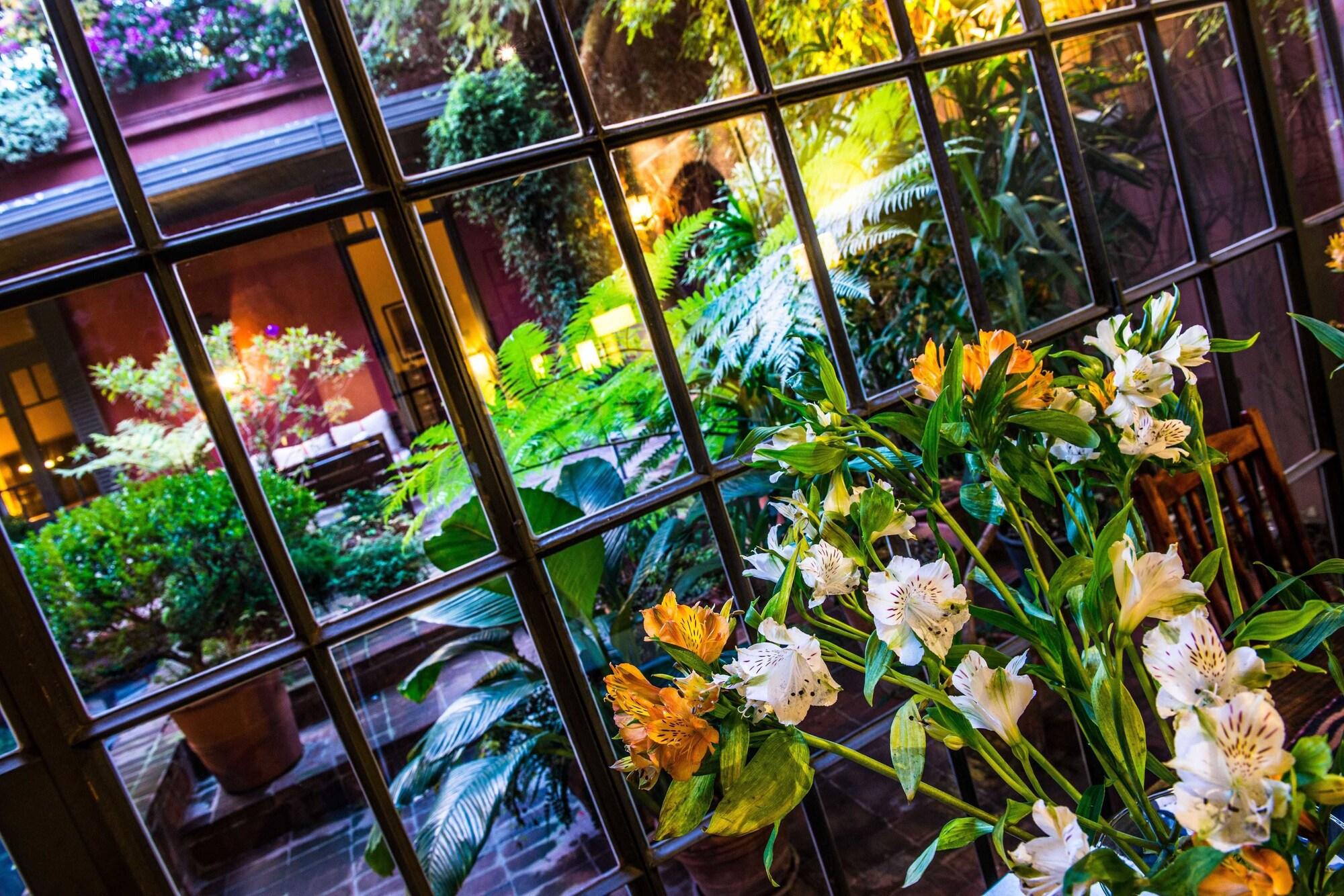 Be Jardín Escondido by Coppola by null