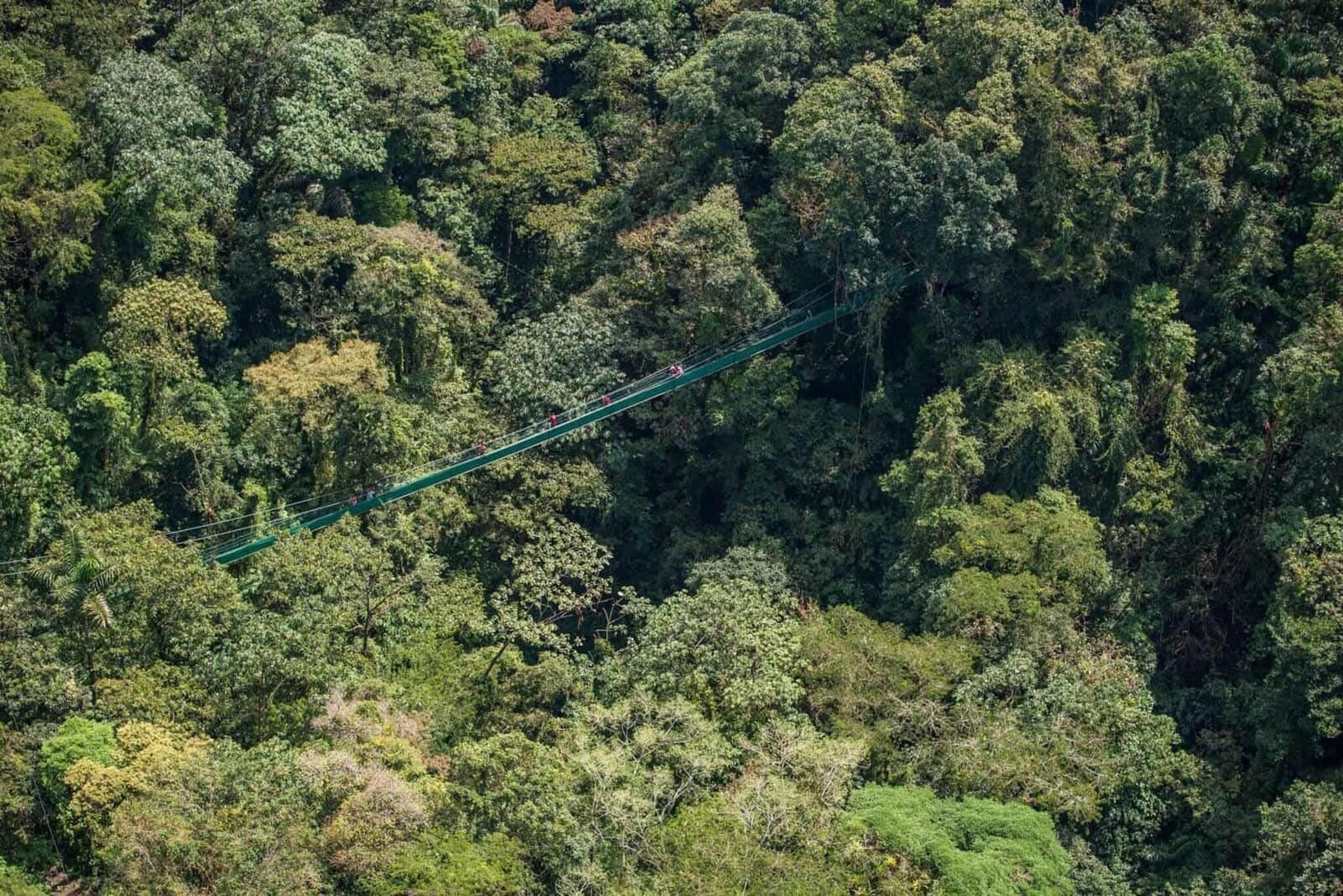 Camino Verde Bed & Breakfast Monteverde by null