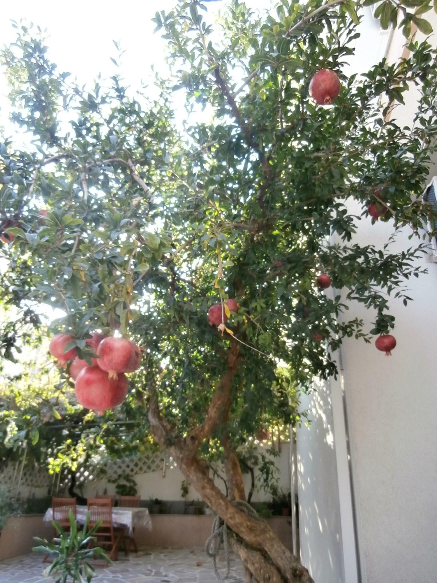 Apartments Song - фото