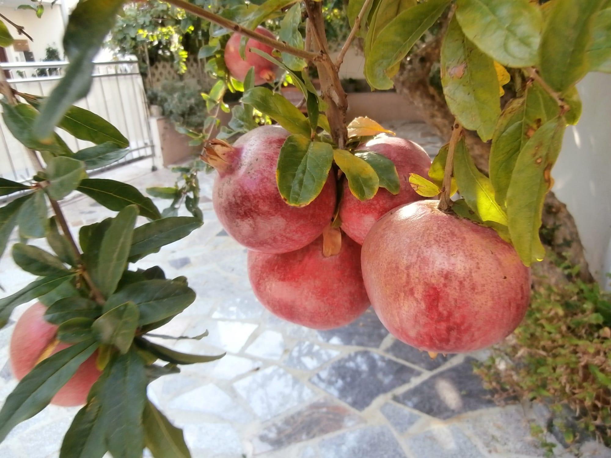 Apartments Song - фото