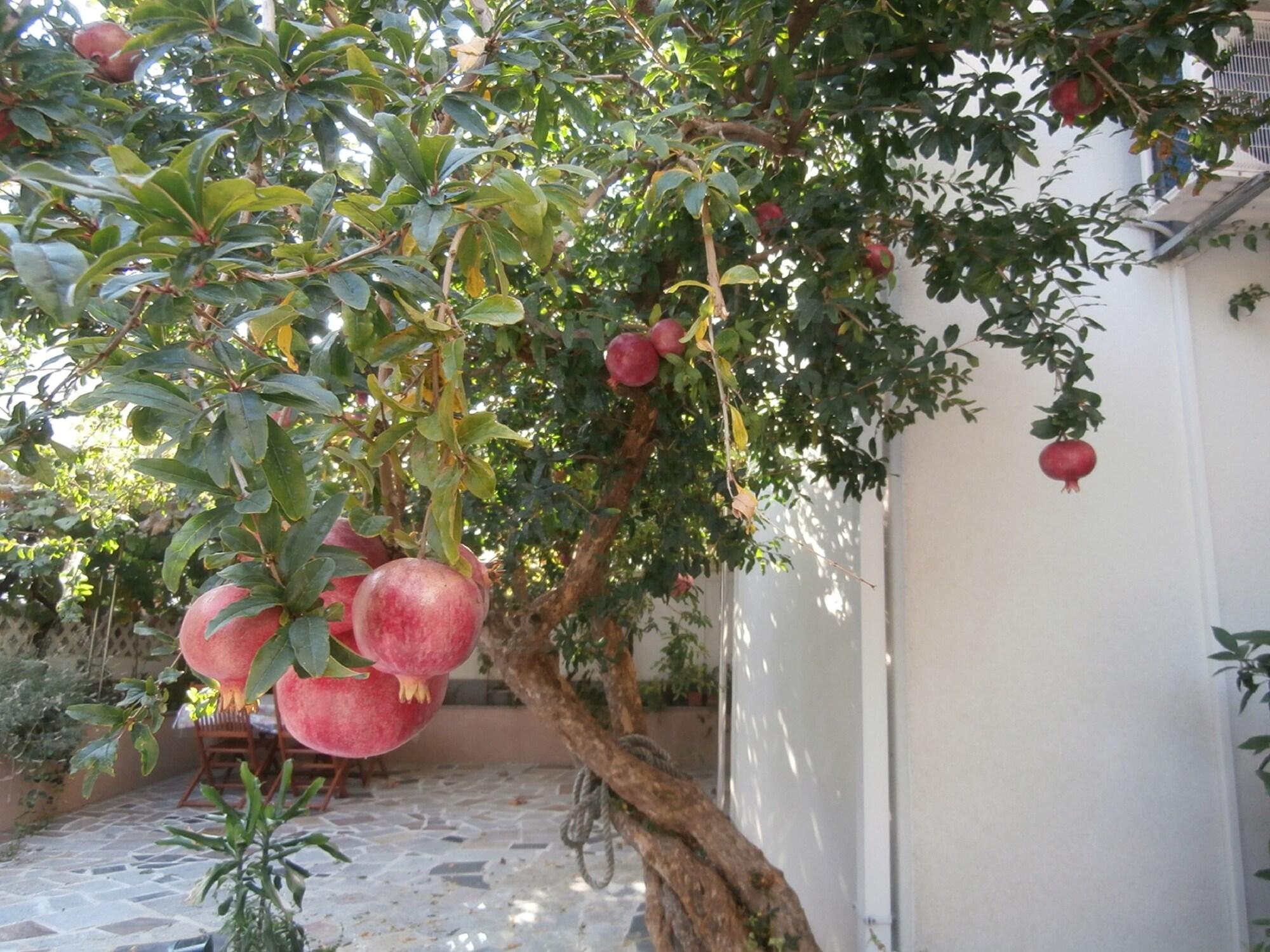 Apartments Song - фото