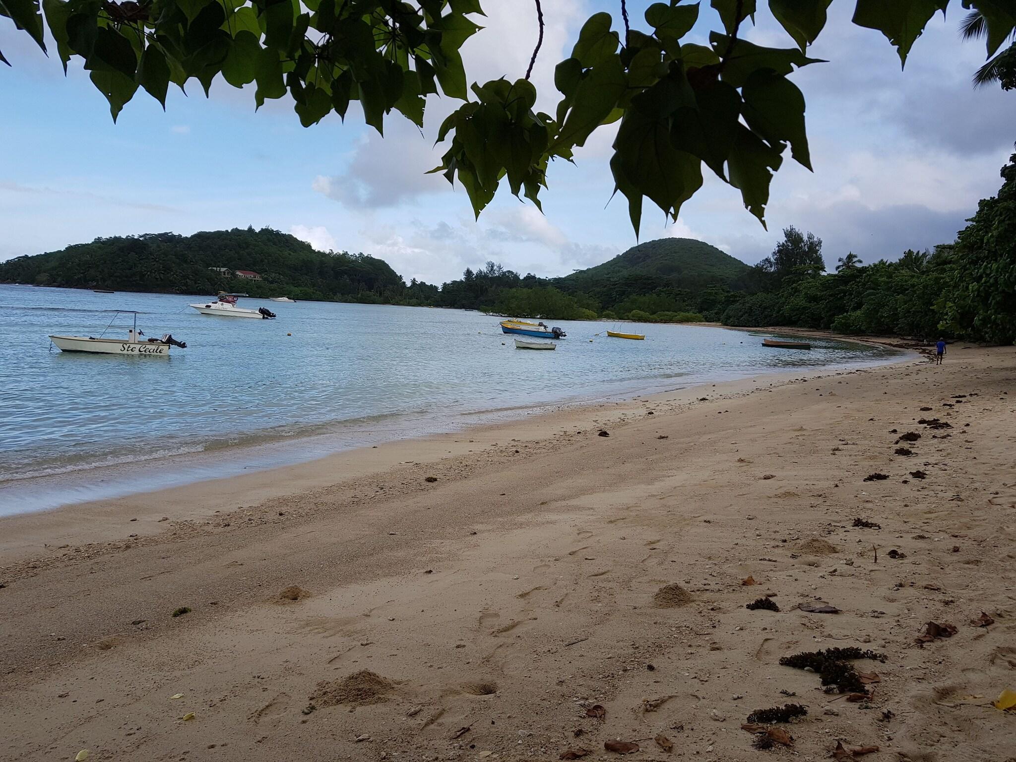 Auberge Chez Plume by null