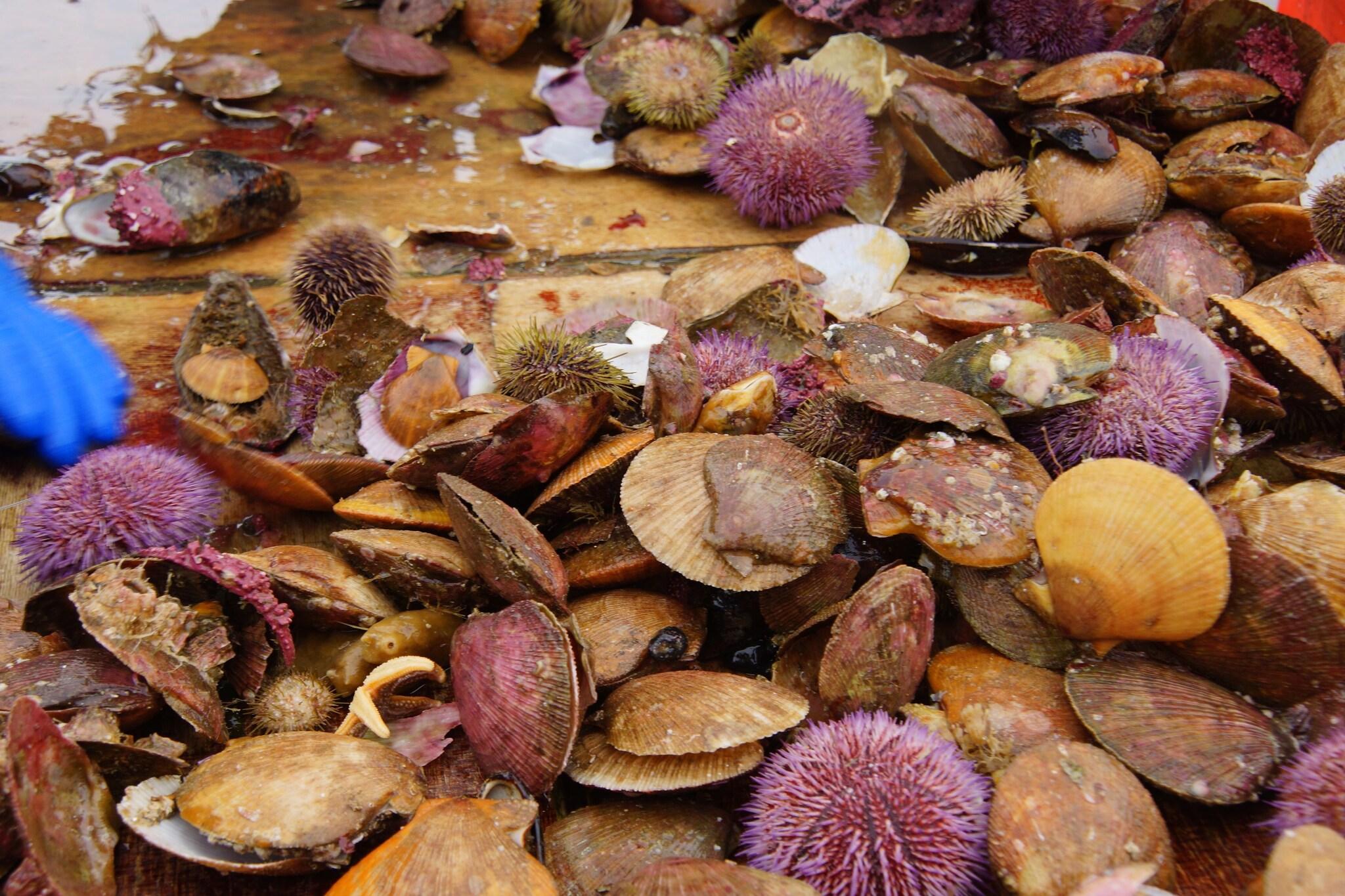 Fransiskus Hótel by null