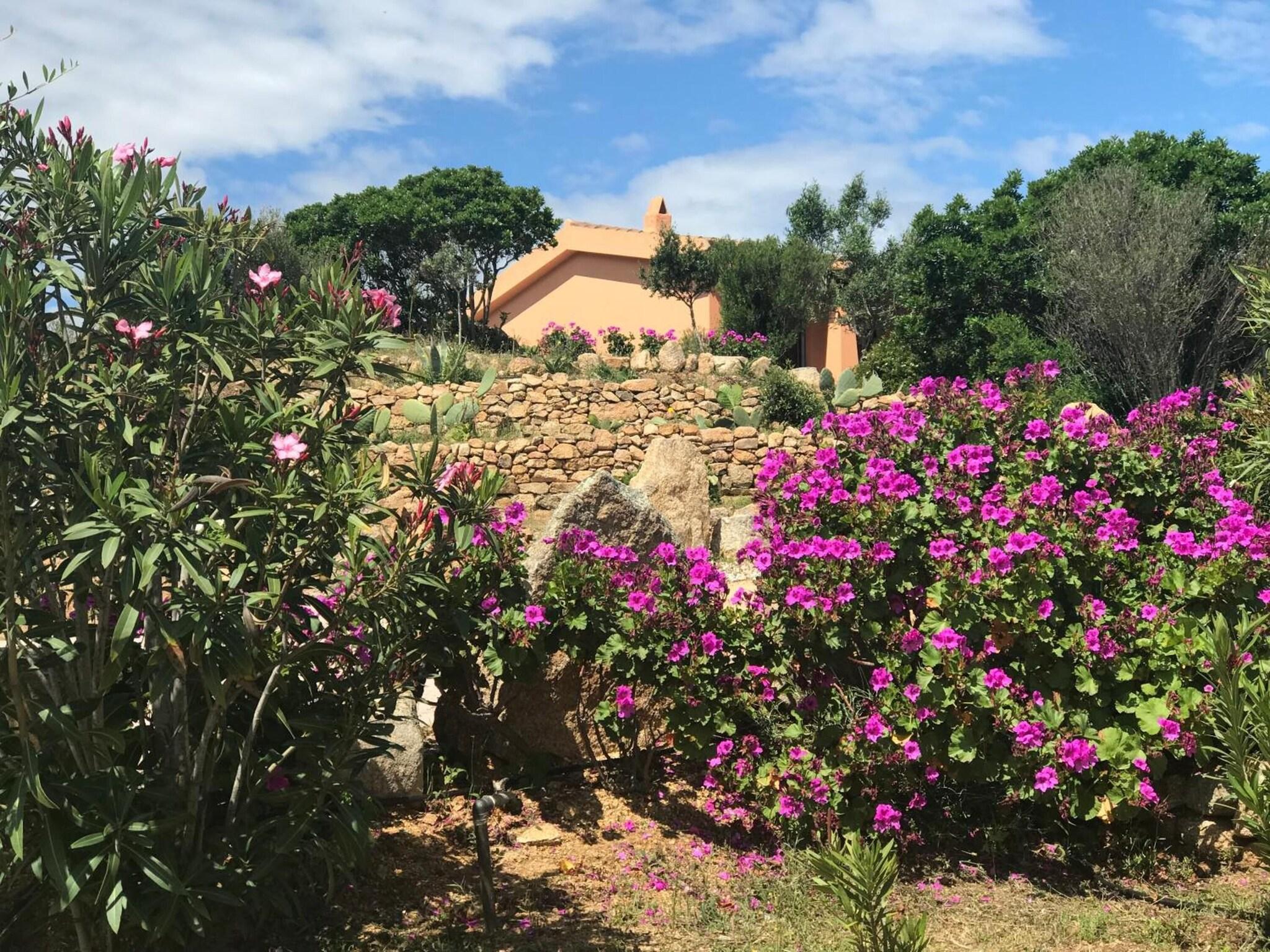 Casagliana Suite Resort