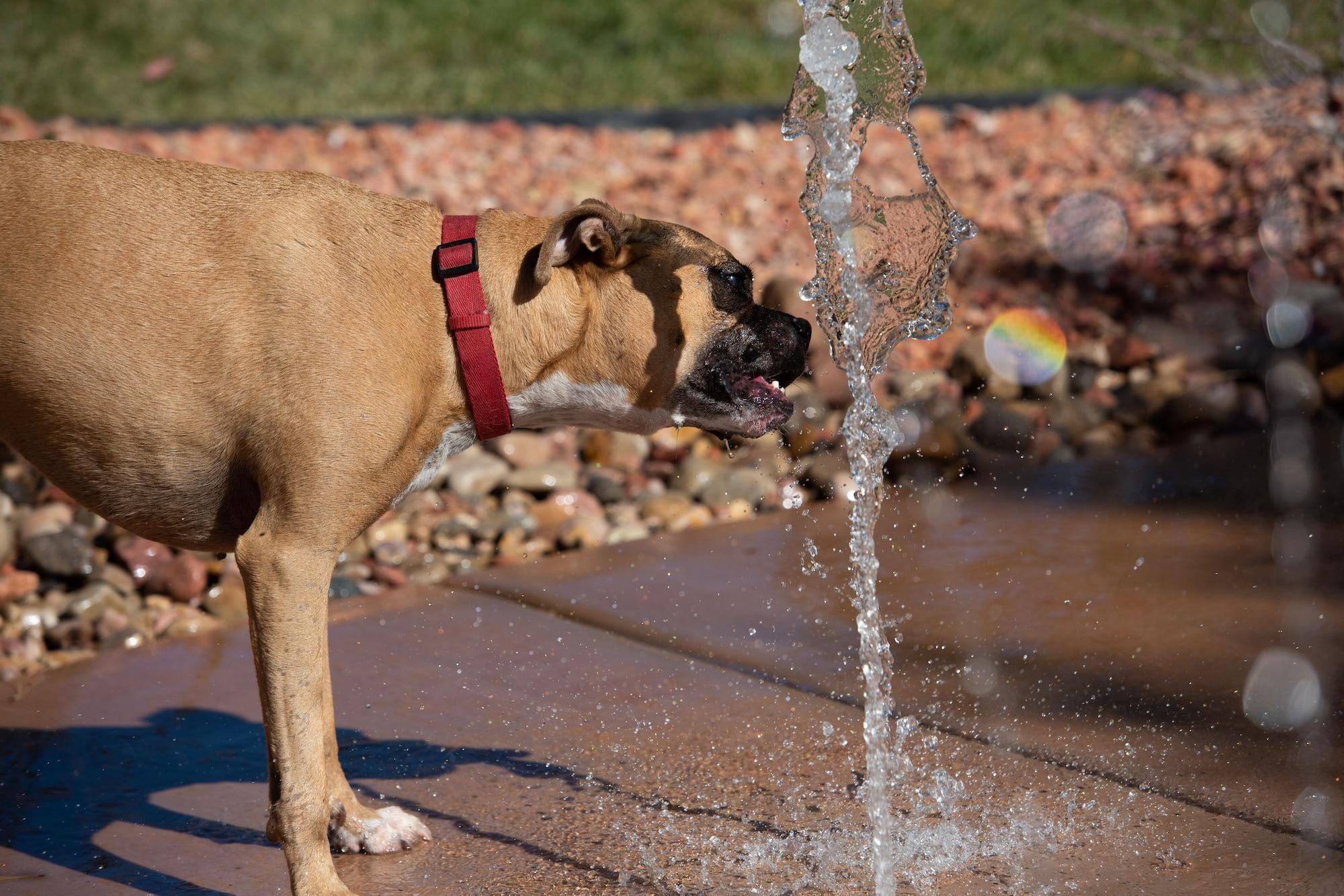 Best Friends Roadhouse and Mercantile by null