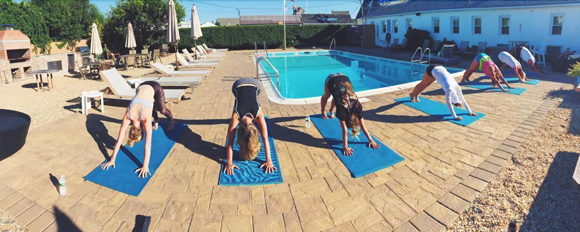 Daunt's Albatross Motel by null Daunt's Albatross Motel by null