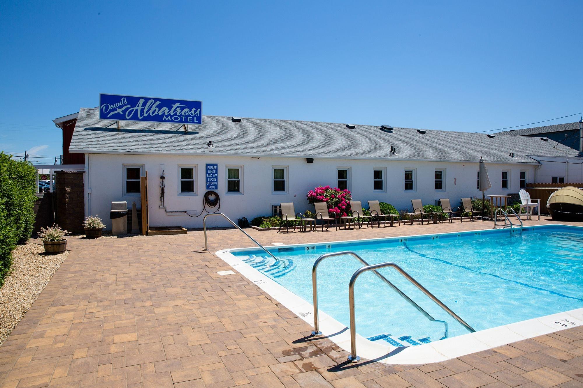 Daunt's Albatross Motel by null Daunt's Albatross Motel by null