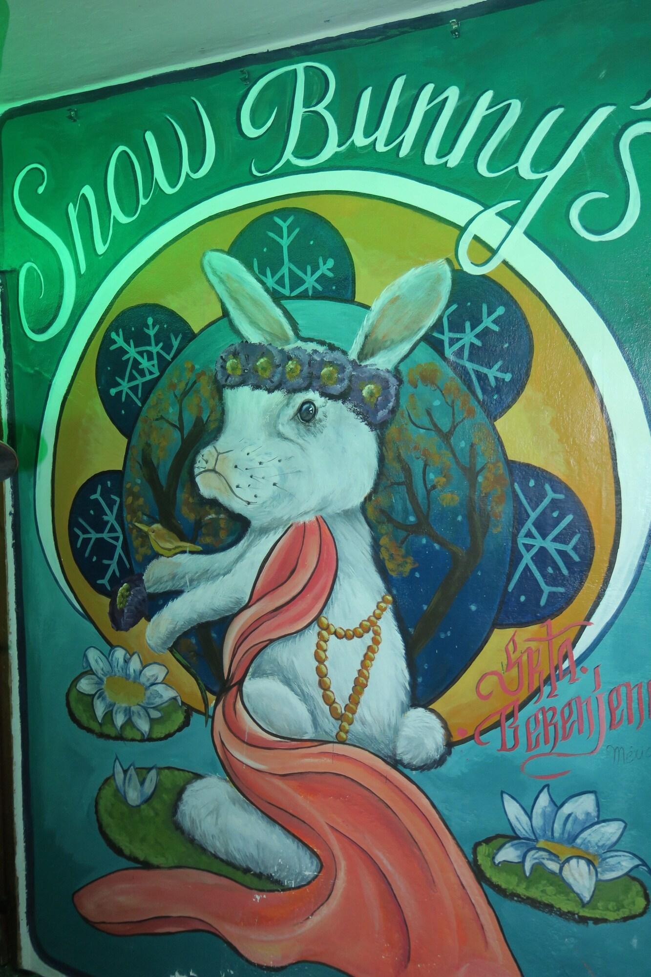 SnowBunnys BackPackers Hostel by null