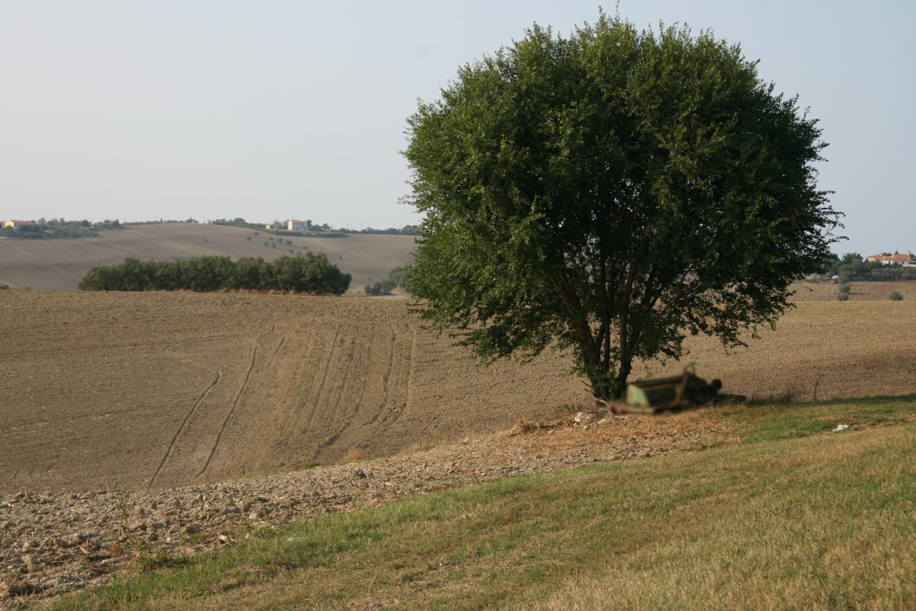 Il Campetto Country House