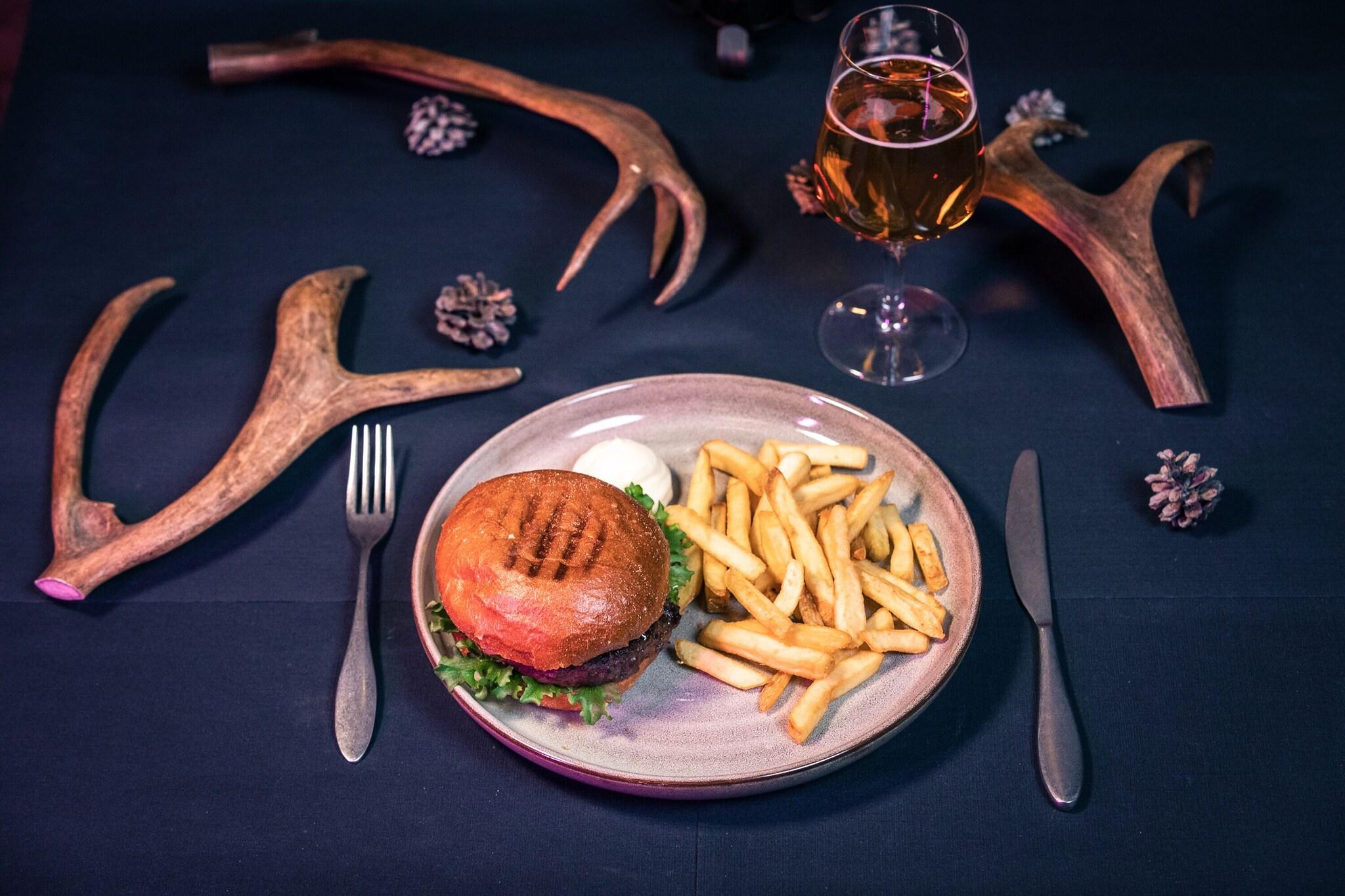 Apukka Resort - Glass Igloos Hotel - Husky & Reindeer Farm and Tours by null