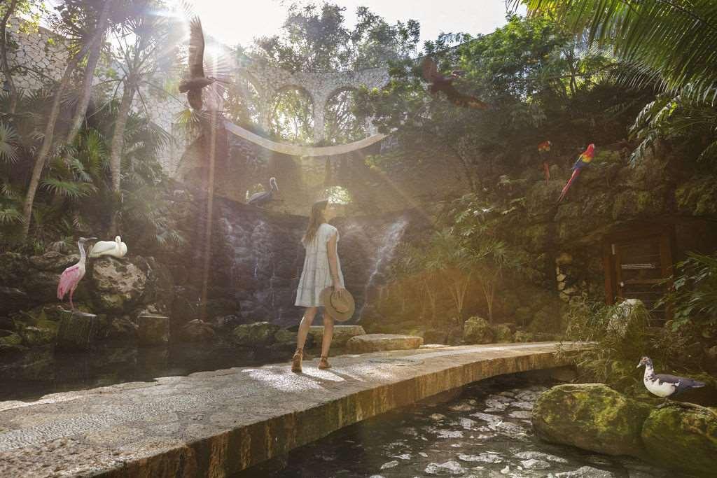 Hotel Xcaret Arte All Inclusive - Poză