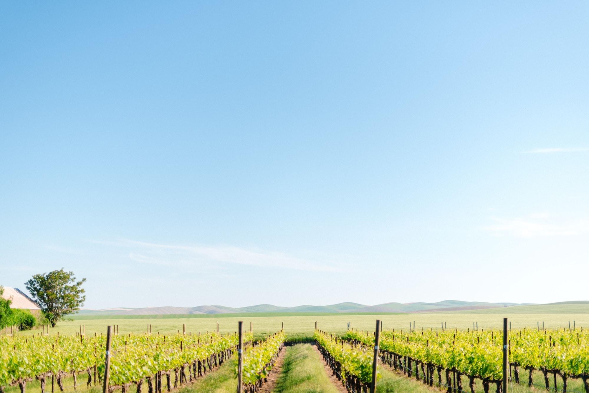 The Inn at Abeja by null