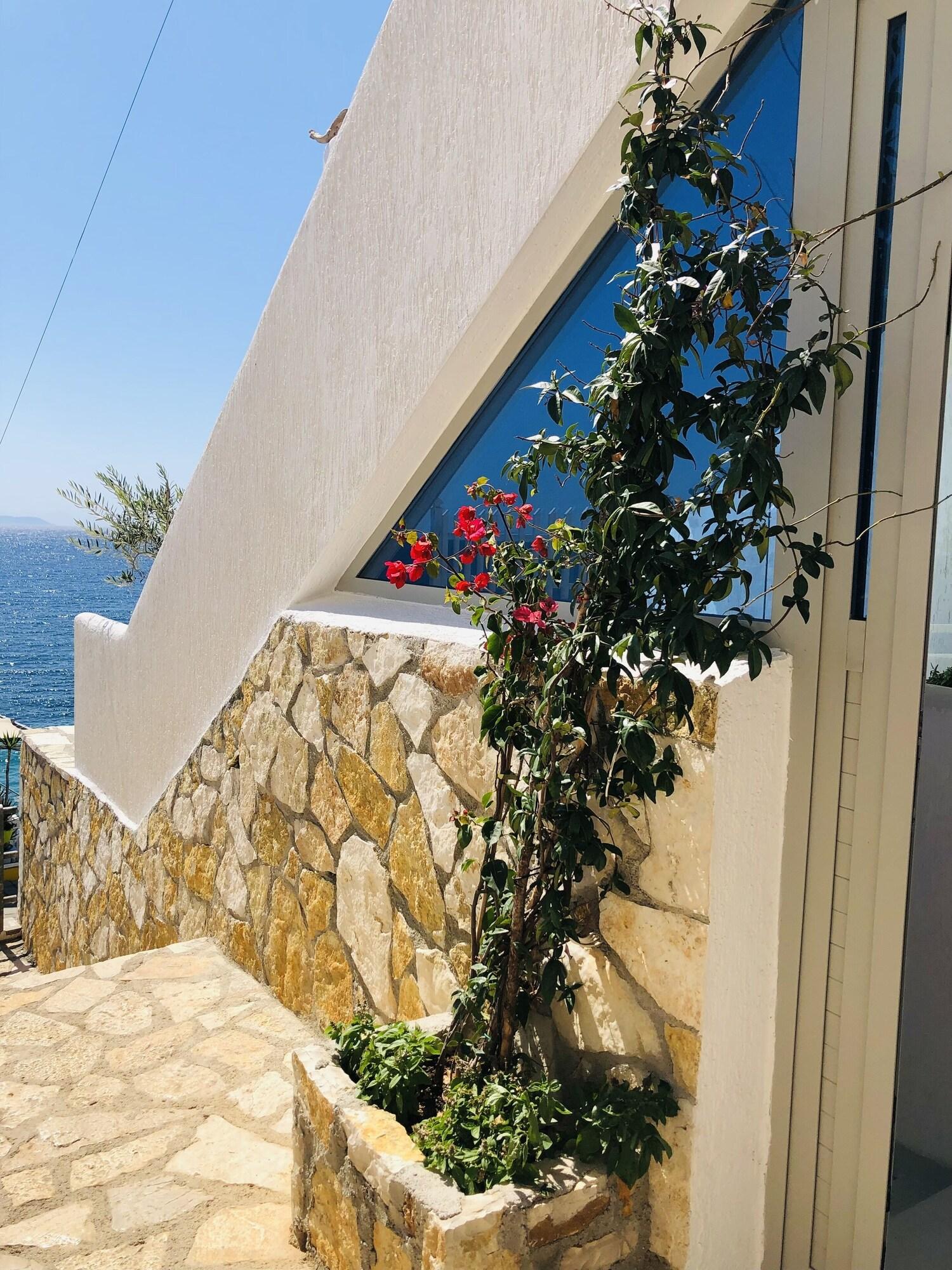 Geo & Art Boutique Hotel - photo