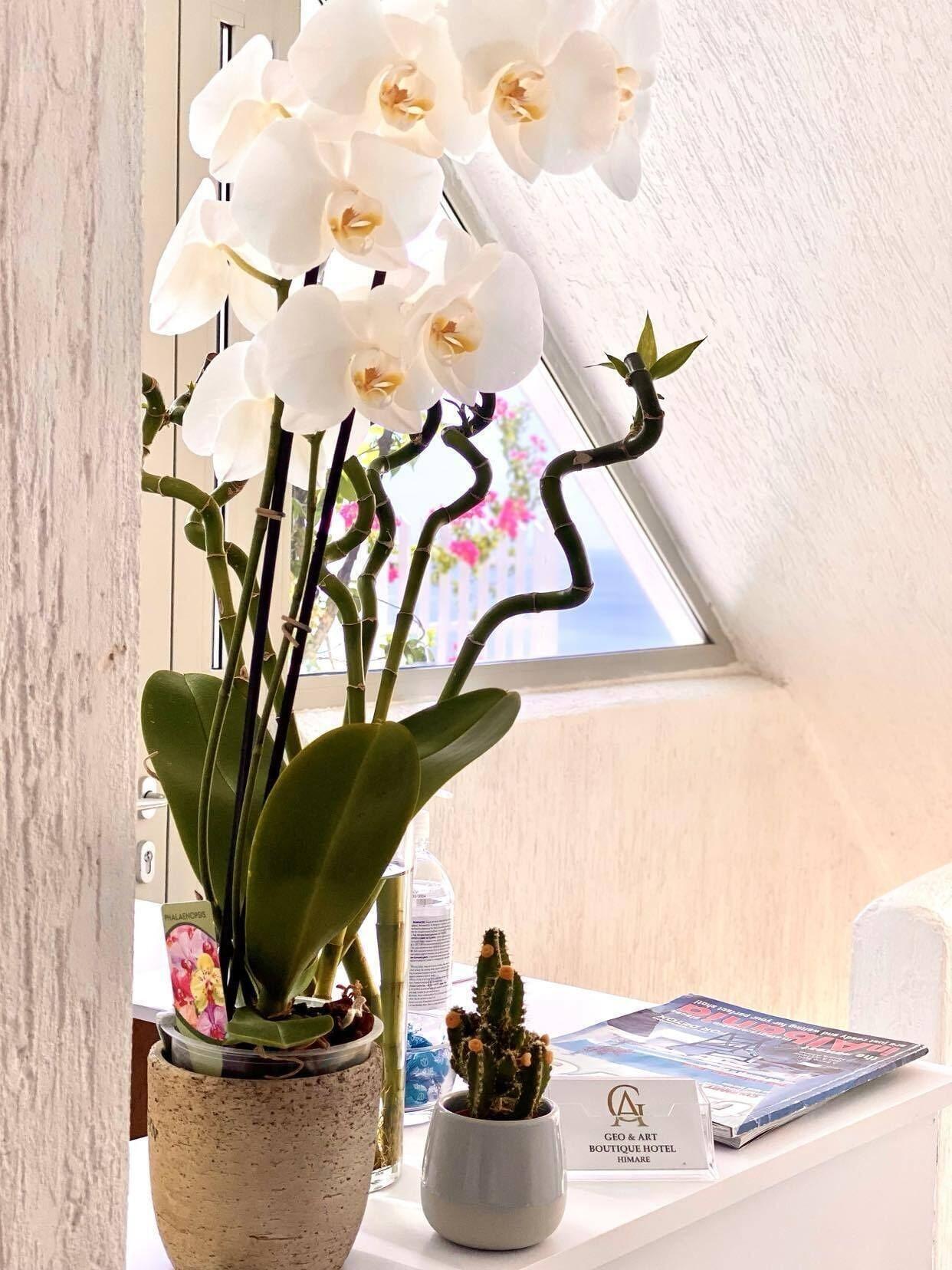 Geo & Art Boutique Hotel - photo