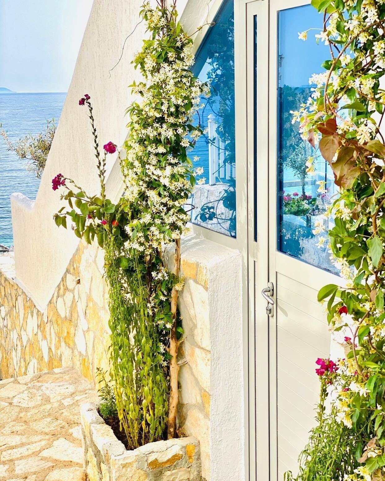 Geo & Art Boutique Hotel - photo