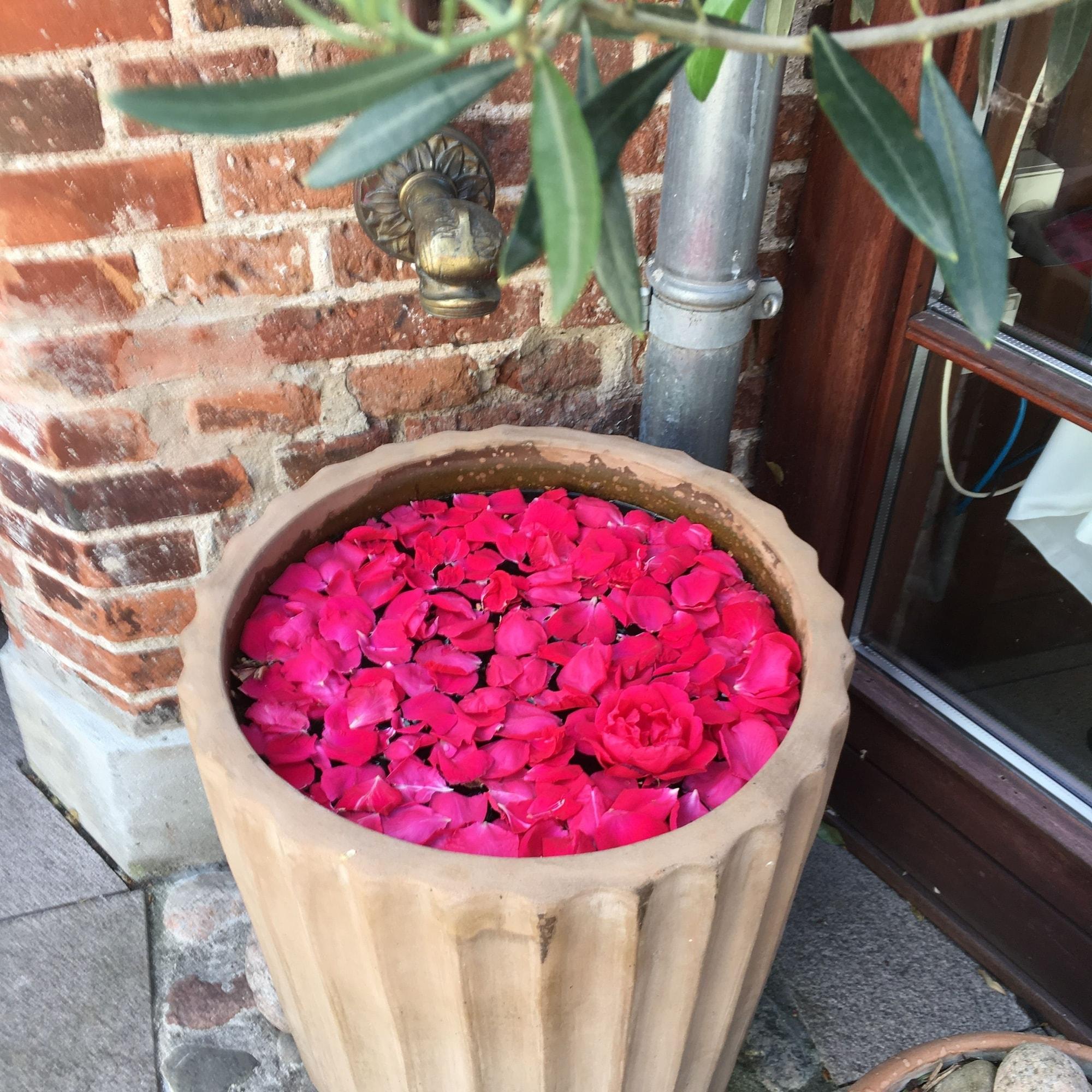 Stephansens Hotel by null