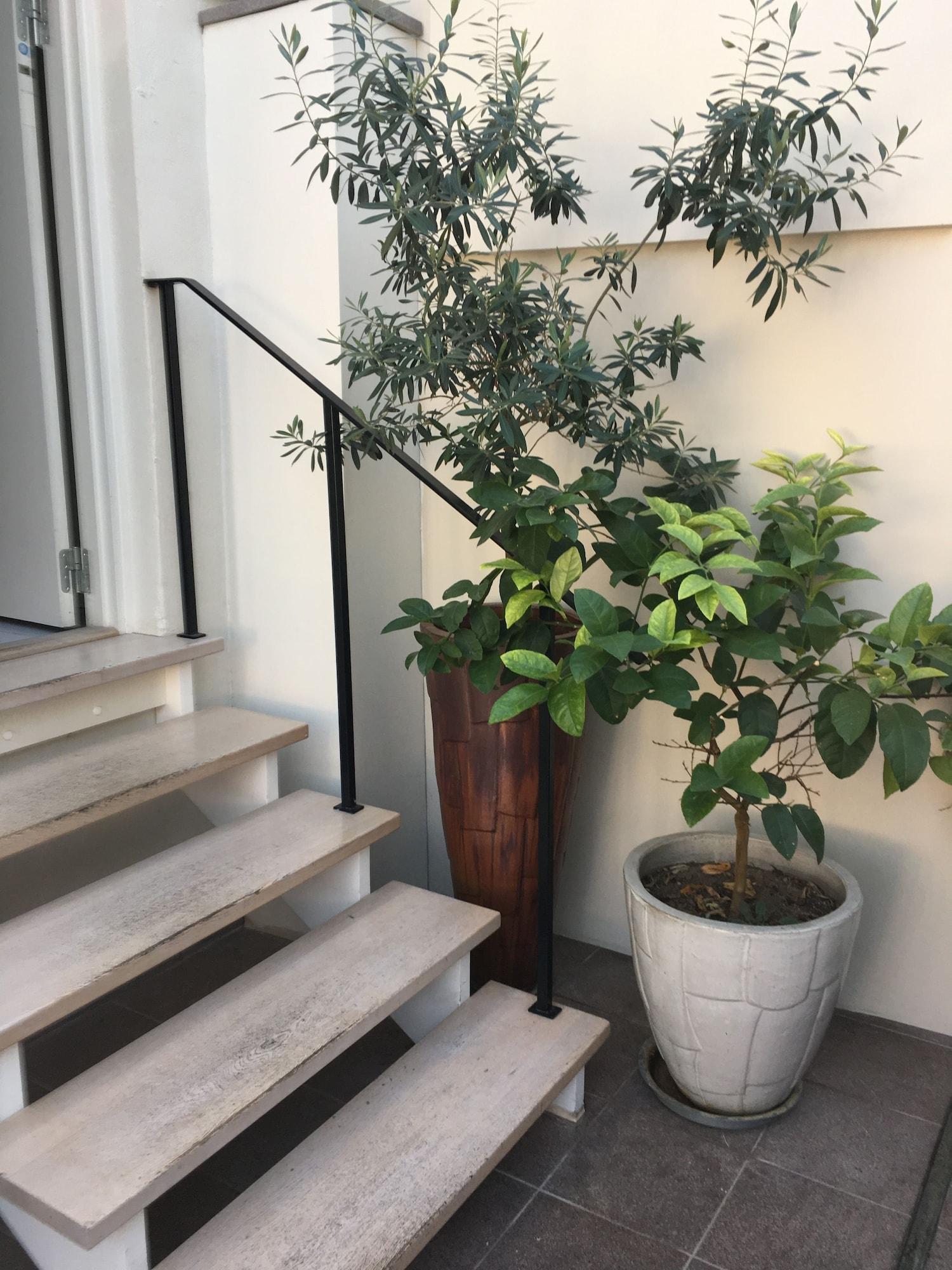 Stephansens Hotel by null