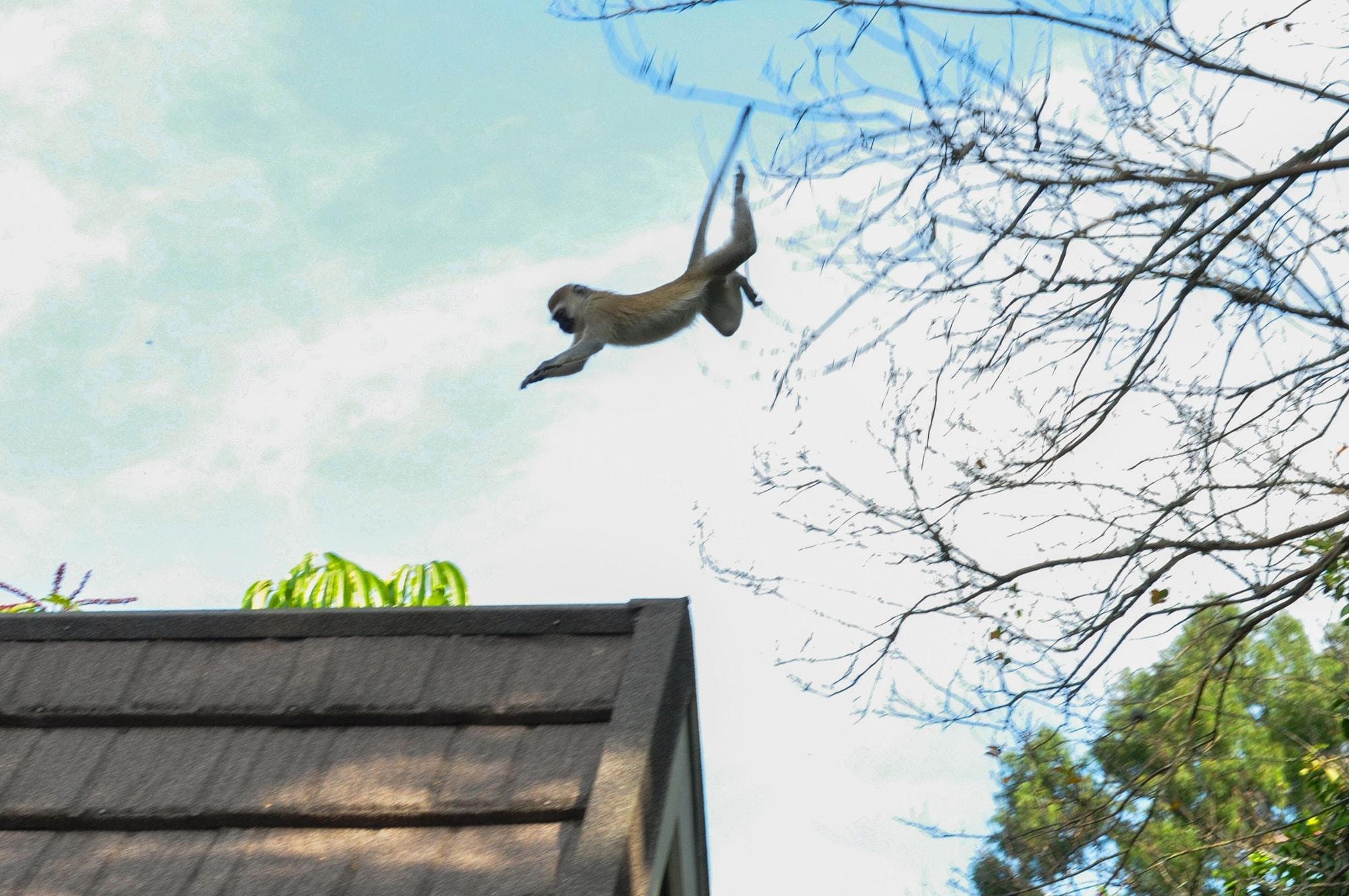 Karama Lodge by null