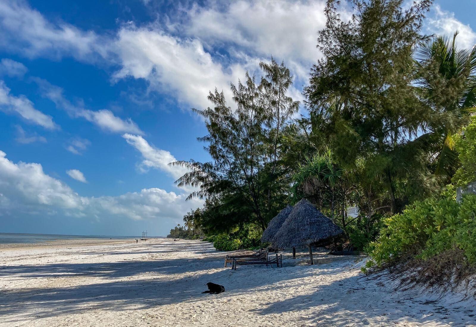 Bellevue Zanzibar by null