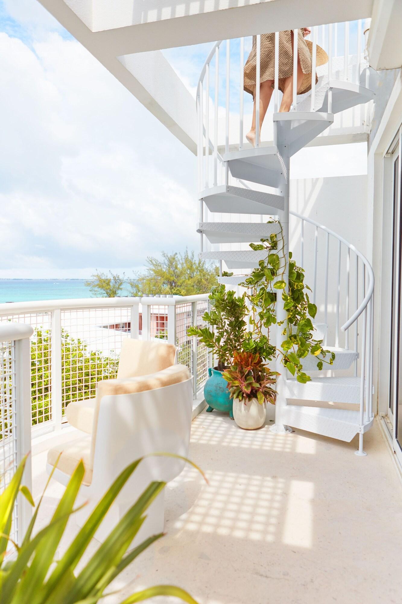 Palm Heights by null