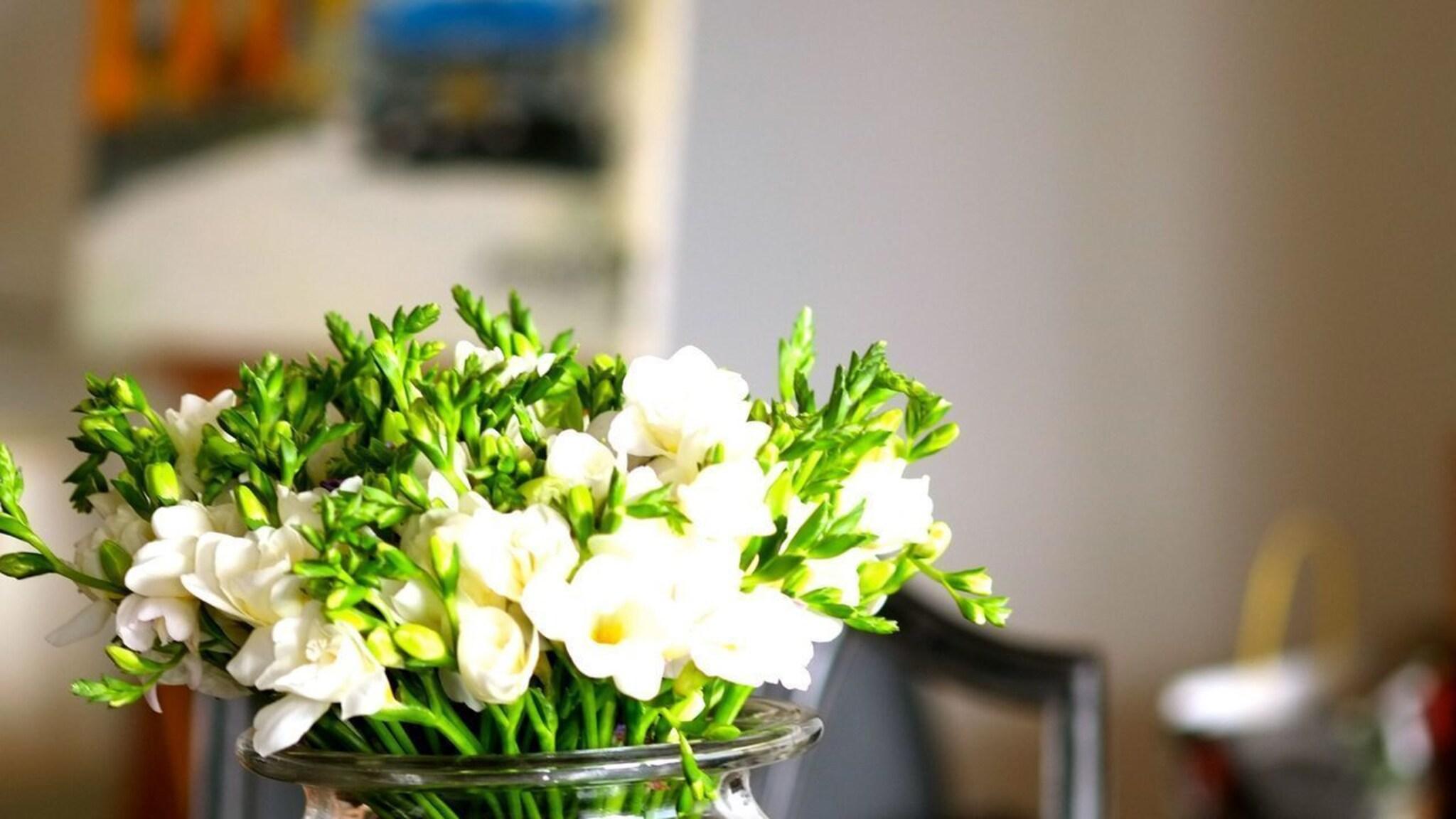 The Late Birds Lisbon by null