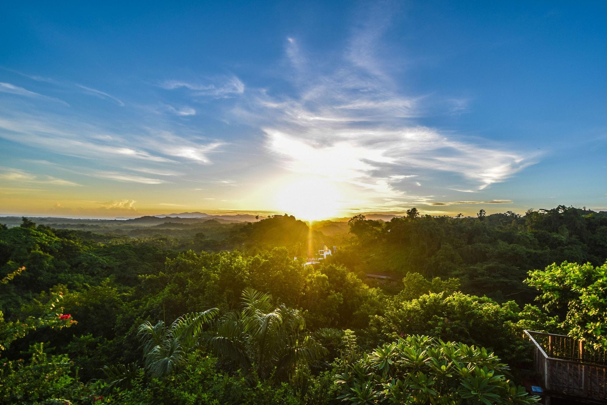 Clave Verde Ecolodge by null