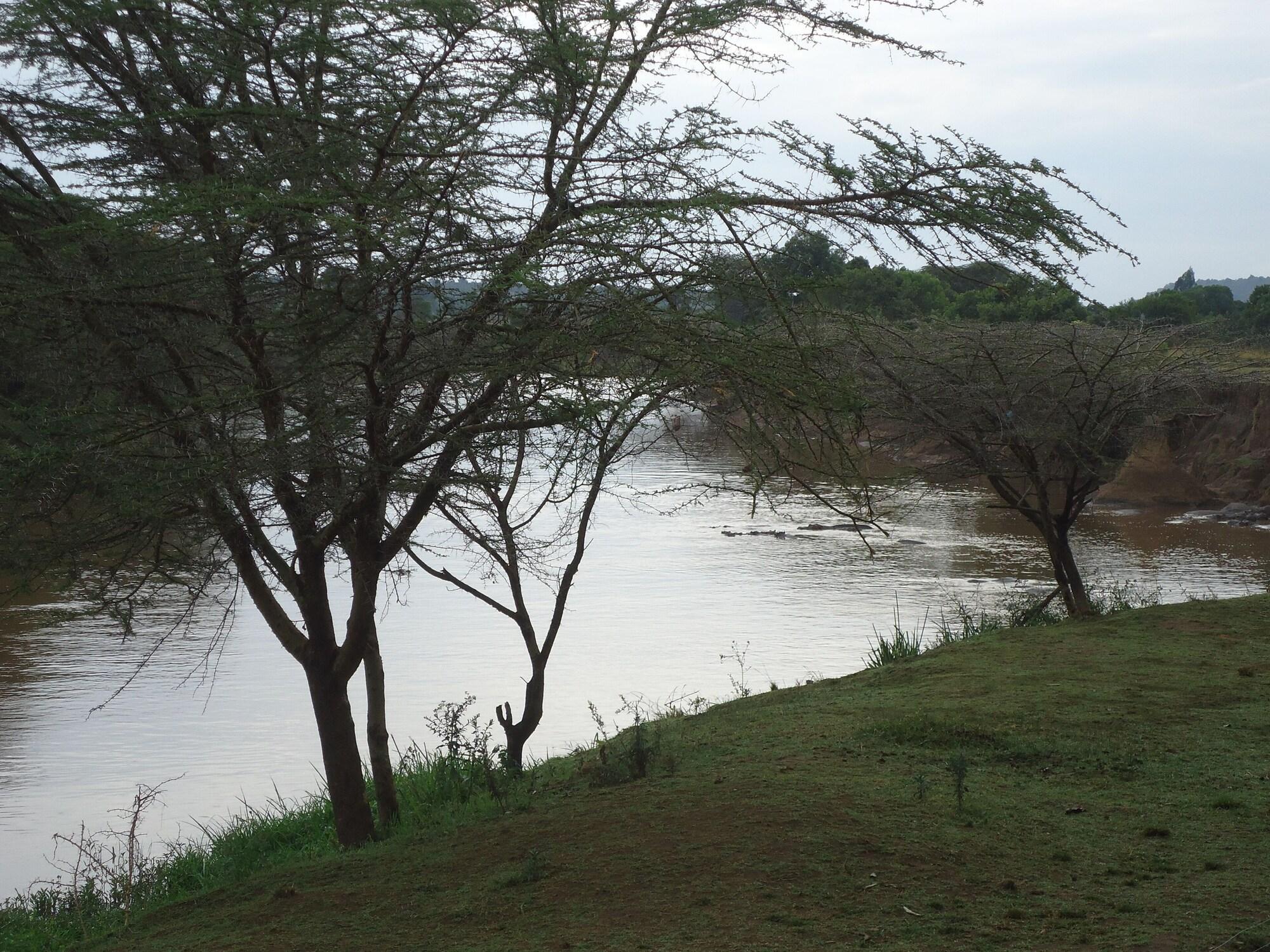Mara River Lodge