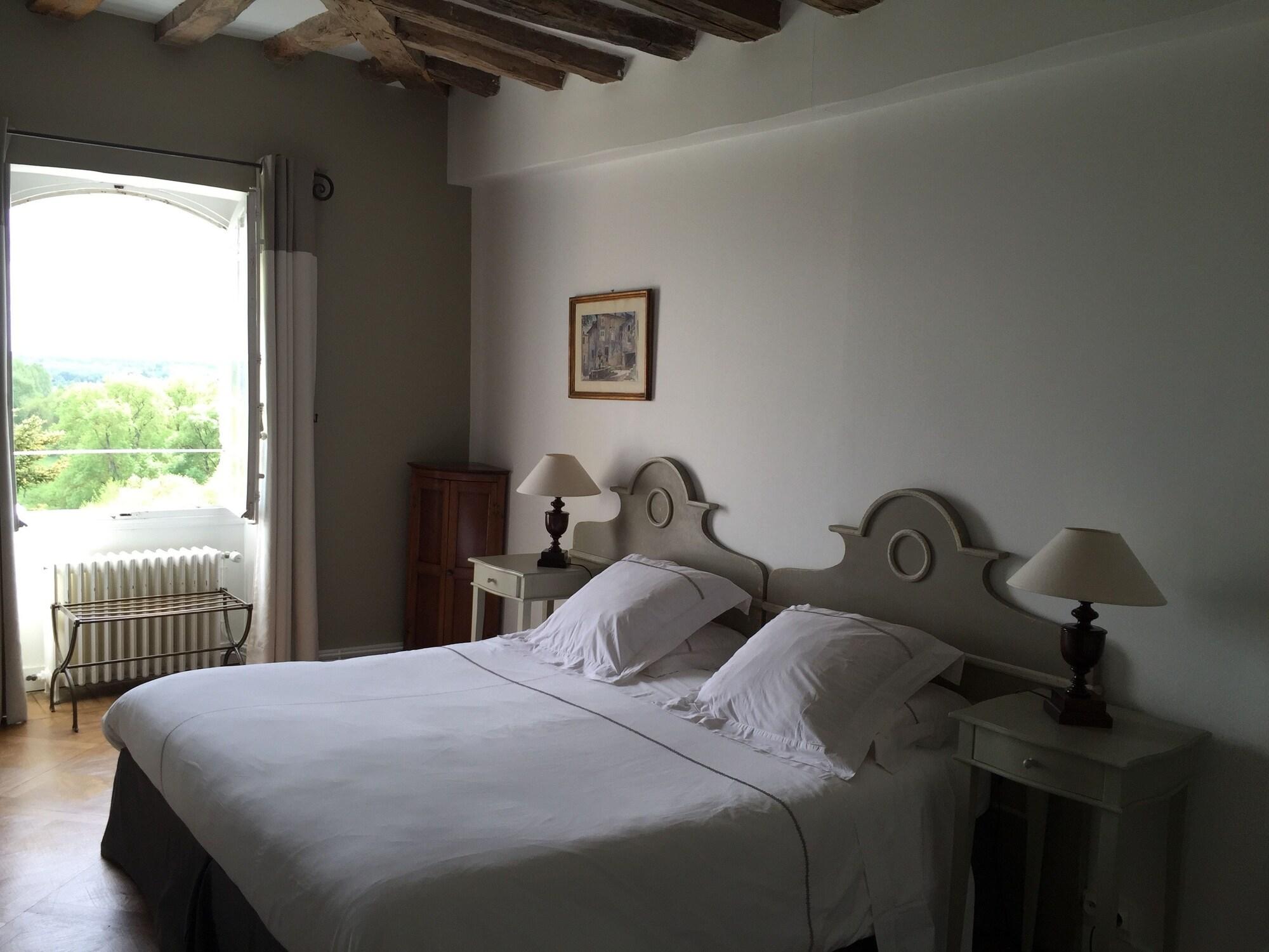 Château de Nazelles by null