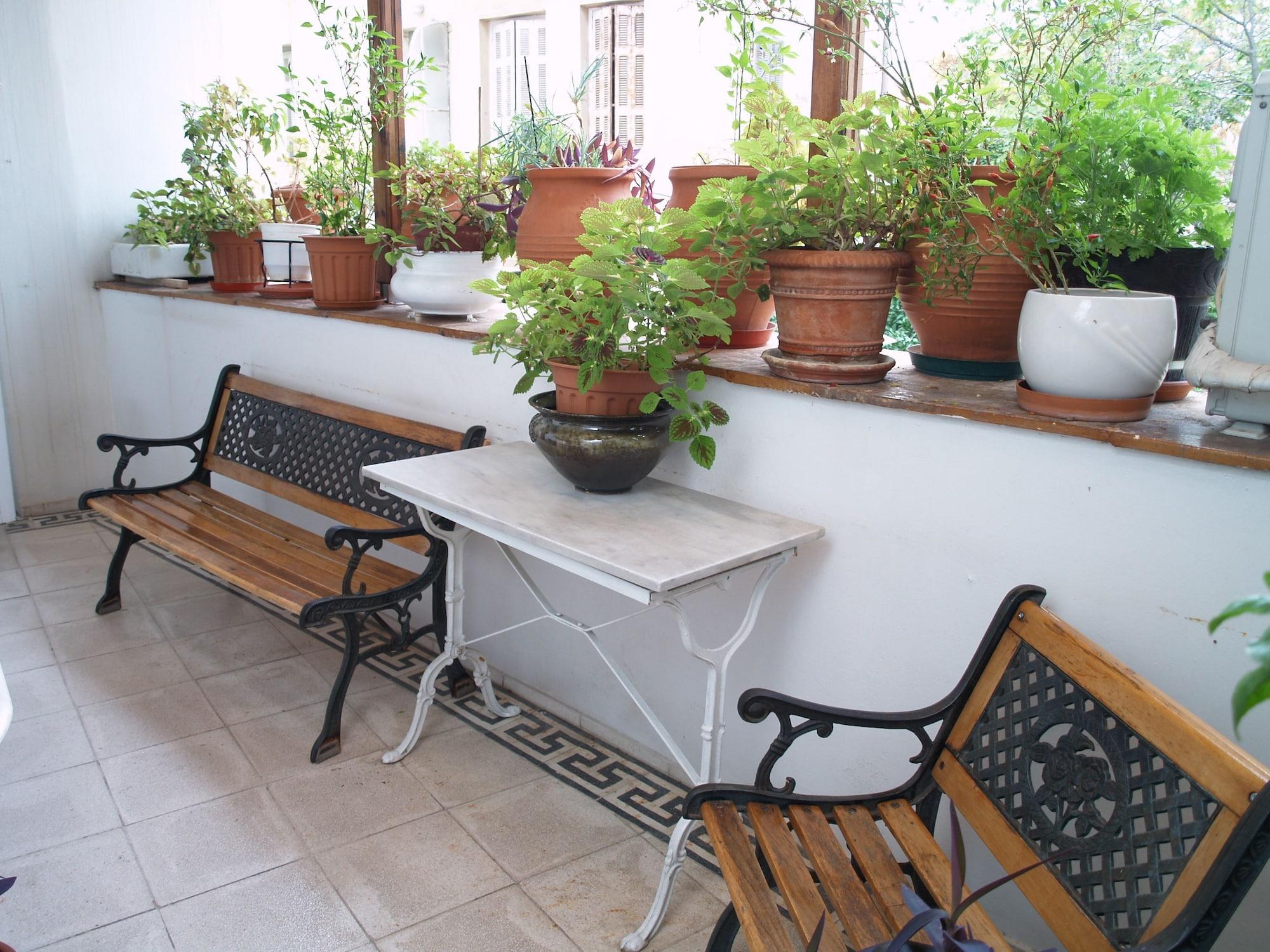 Acropolis House by null